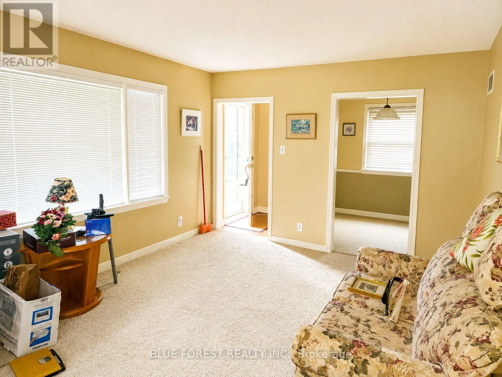 223 WINNIPEG STREET - Image 2