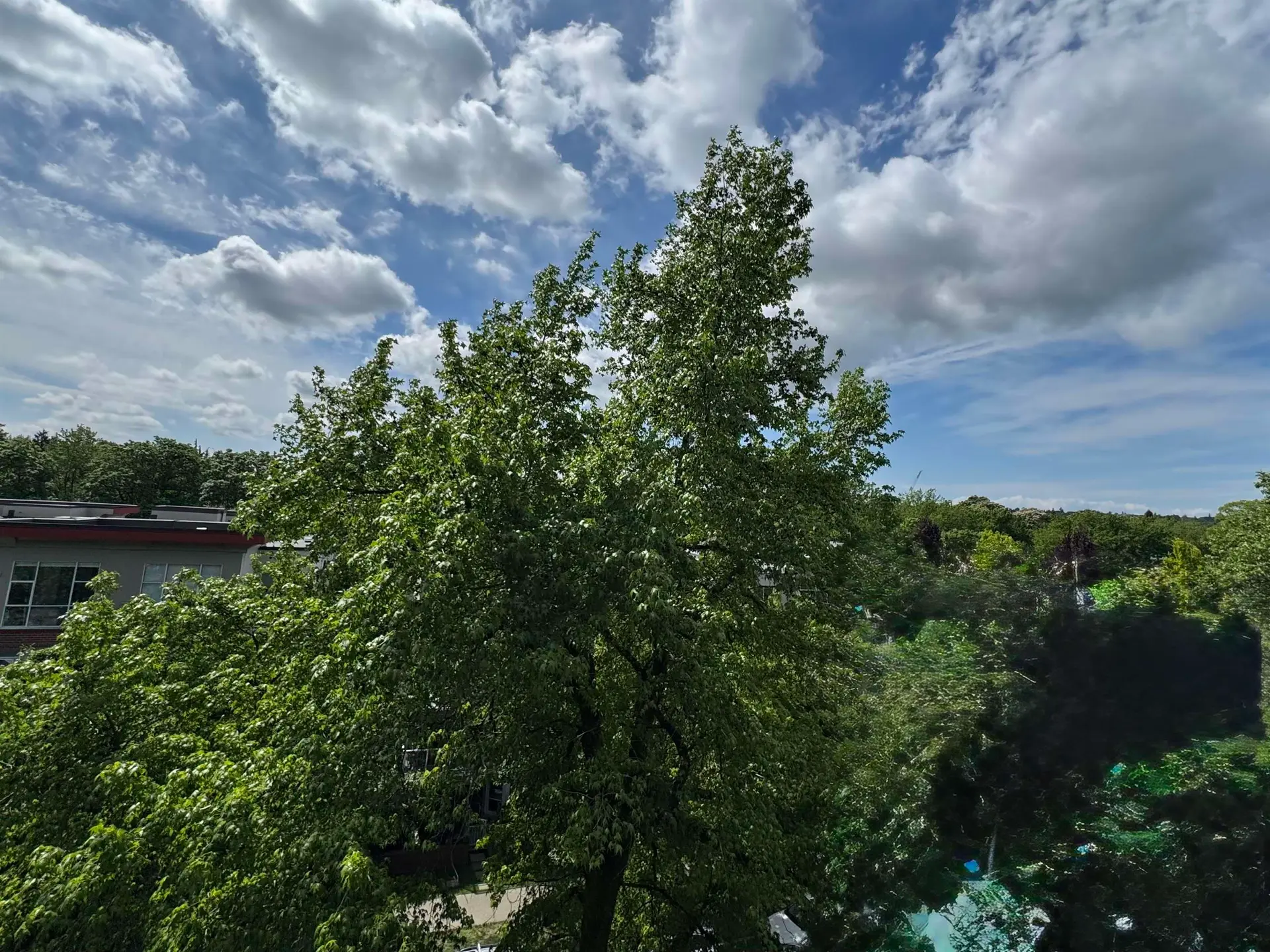 #510 2268 Redbud Lane - Image 8