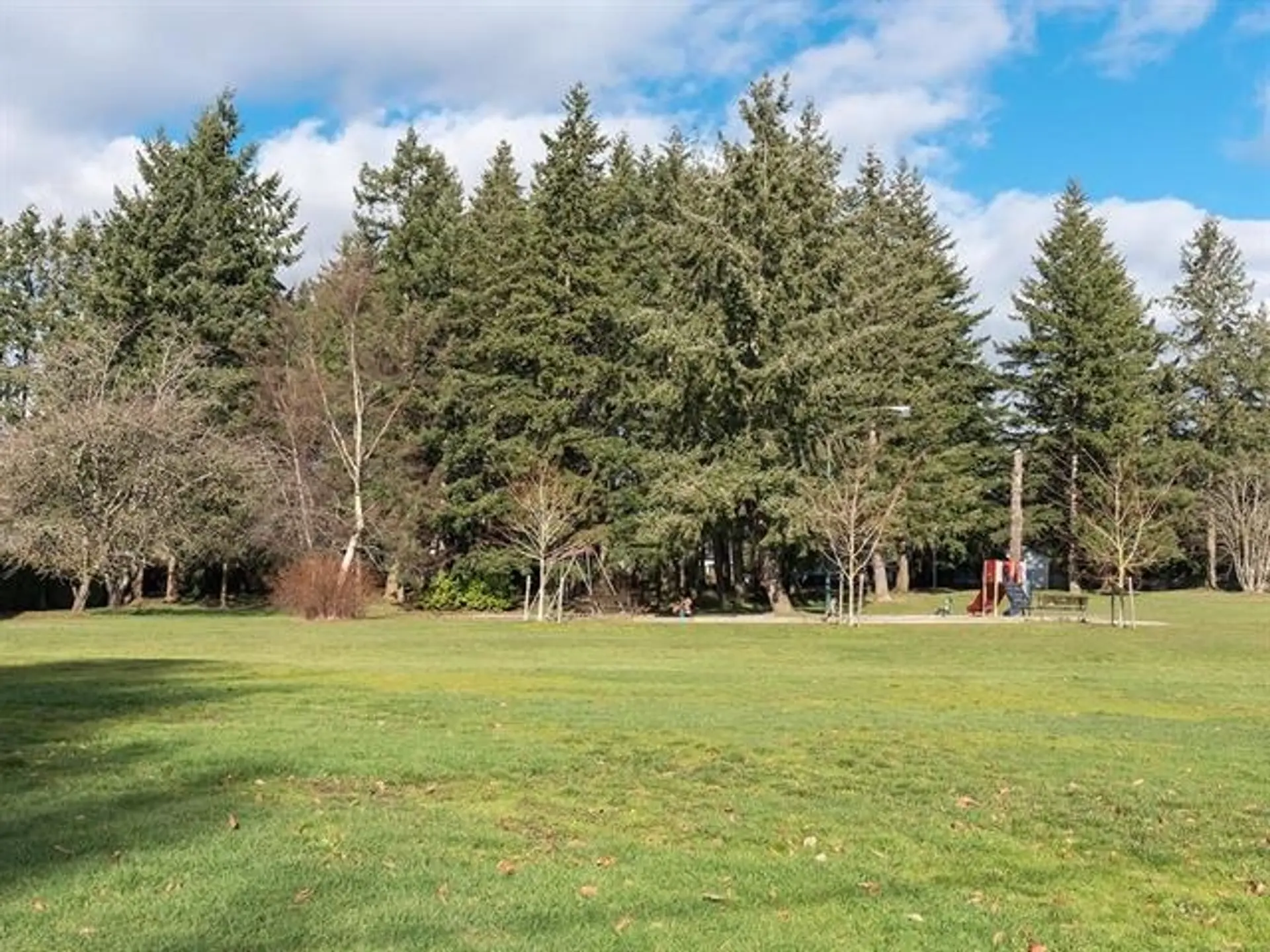 11719 75a Avenue - Image 13
