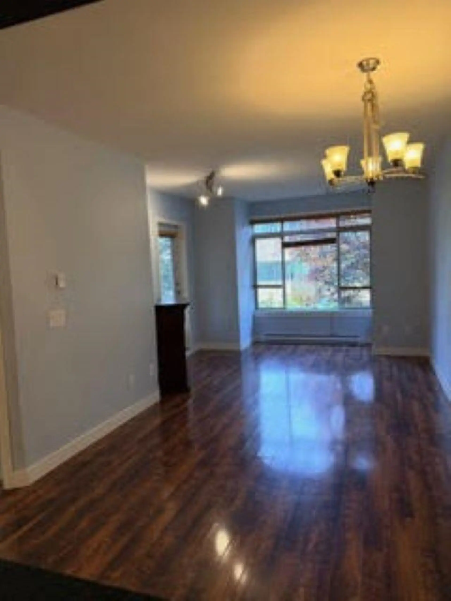 Property at #209 11887 Burnett Street, Maple Ridge, BC