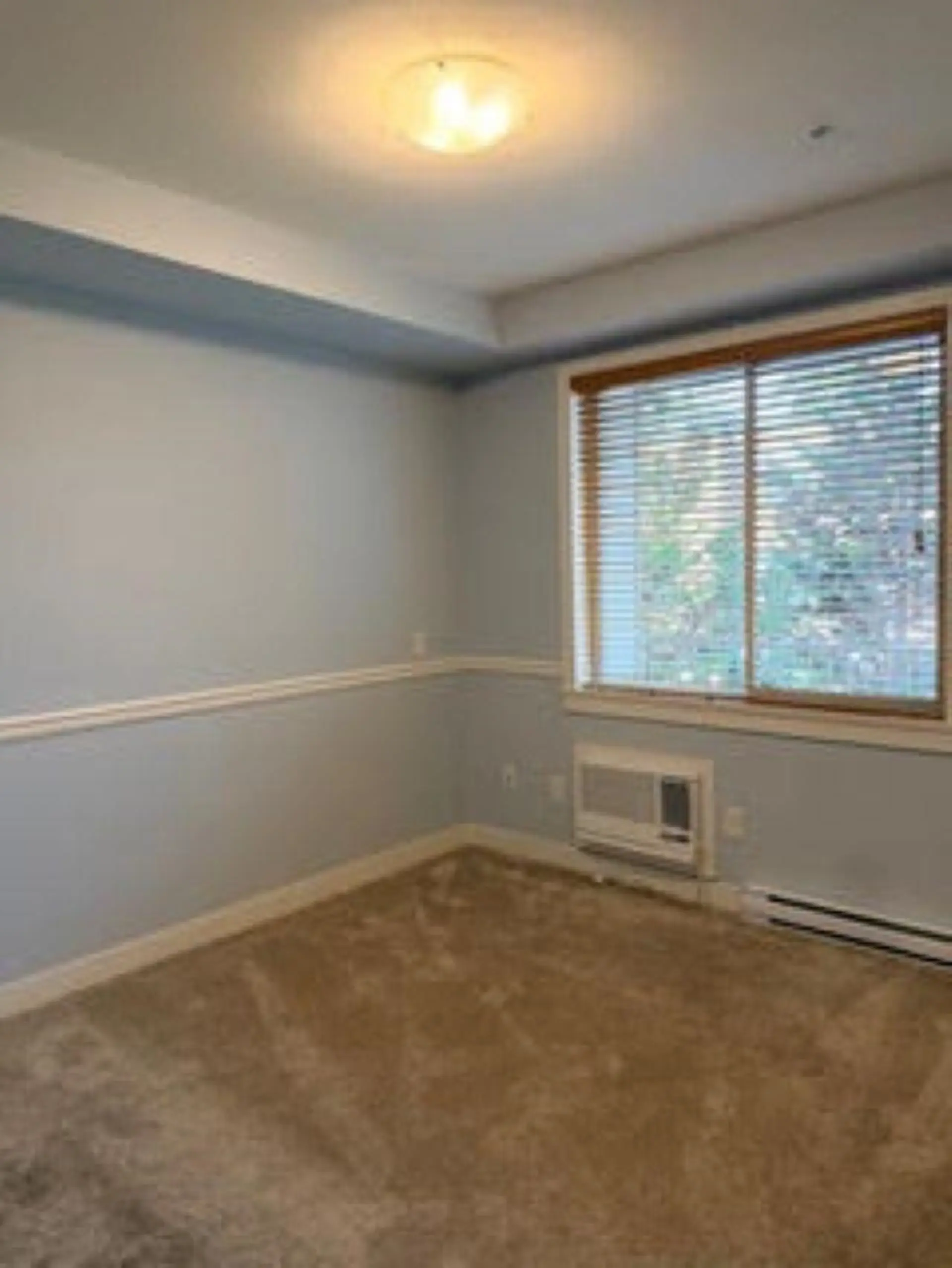 #209 11887 Burnett Street - Image 4