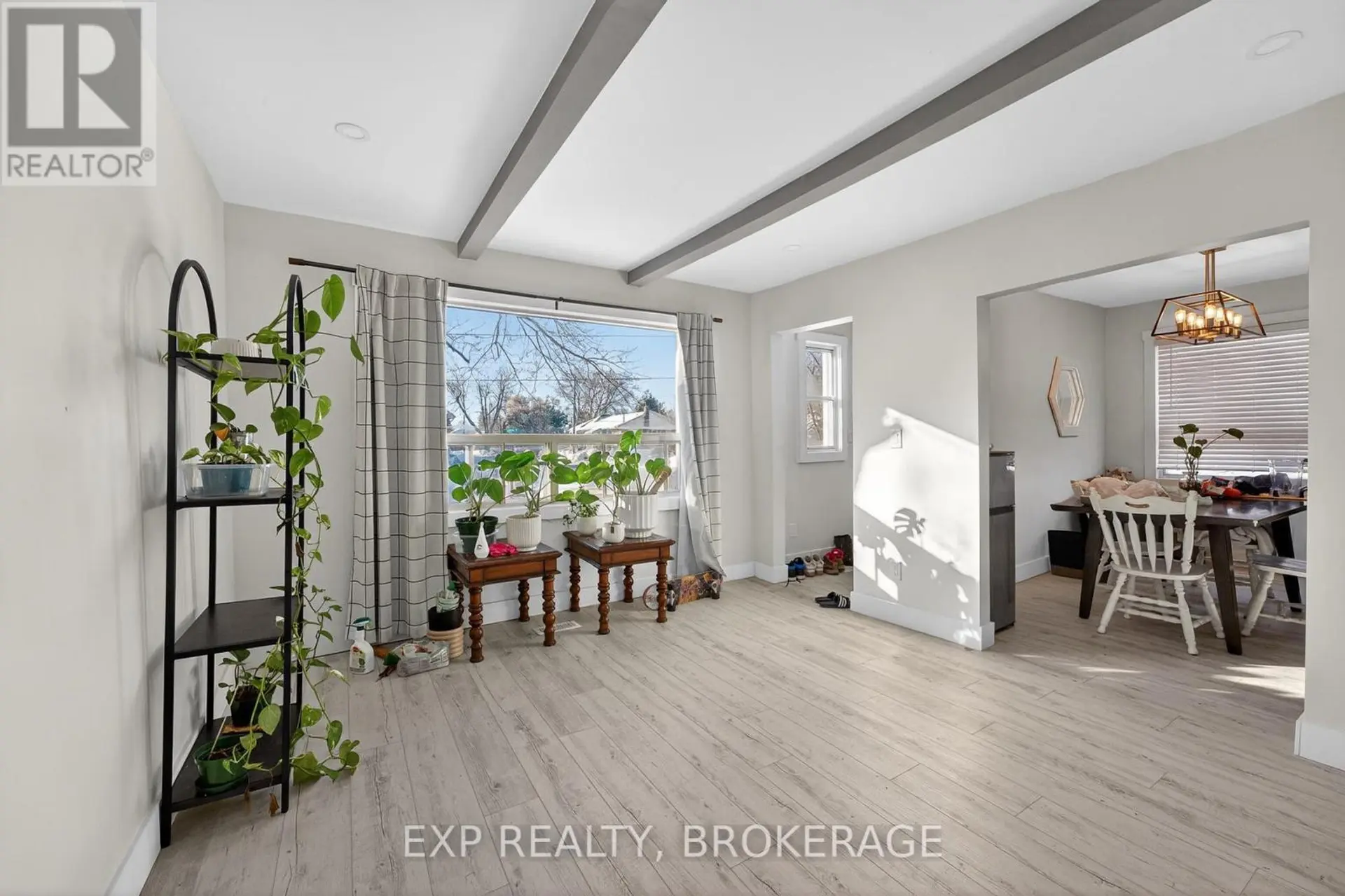 19 SCOTT STREET - Image 4