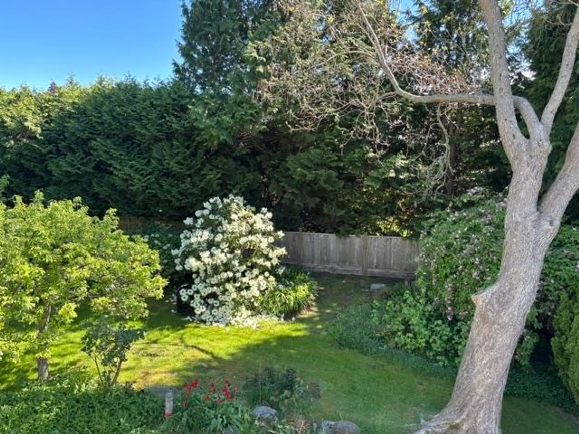 4936 4 Avenue - Image 8