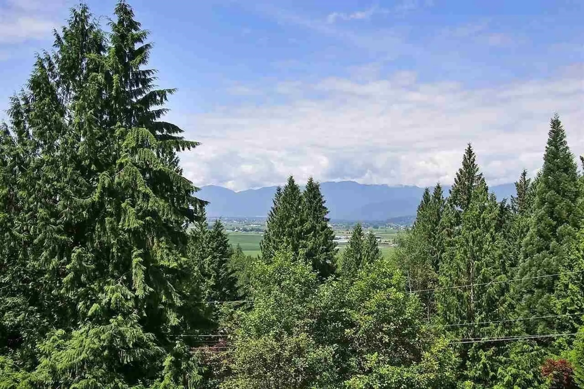 7341 Marble Hill Road - Image 4