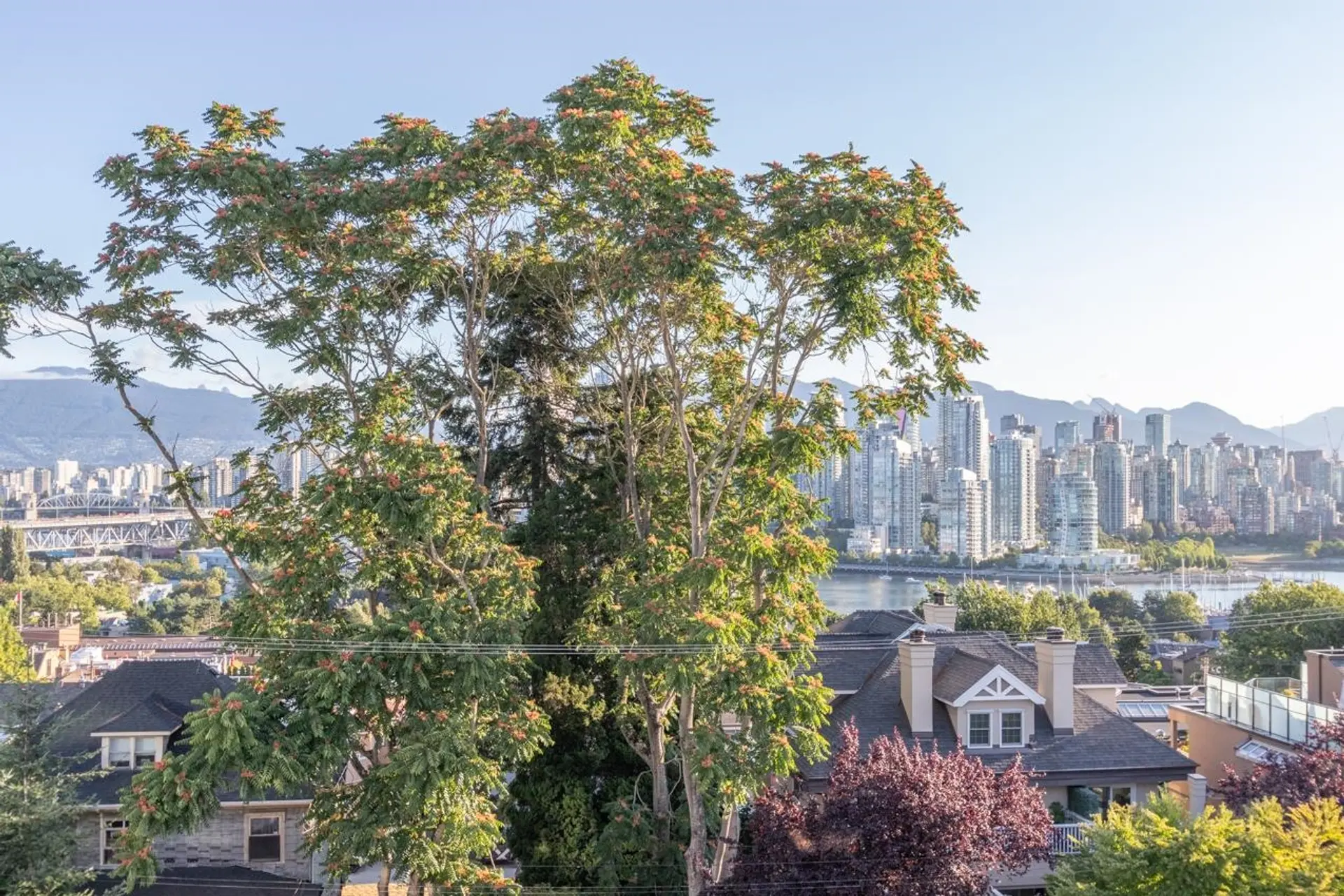 #409 1236 W 8th Avenue - Image 15