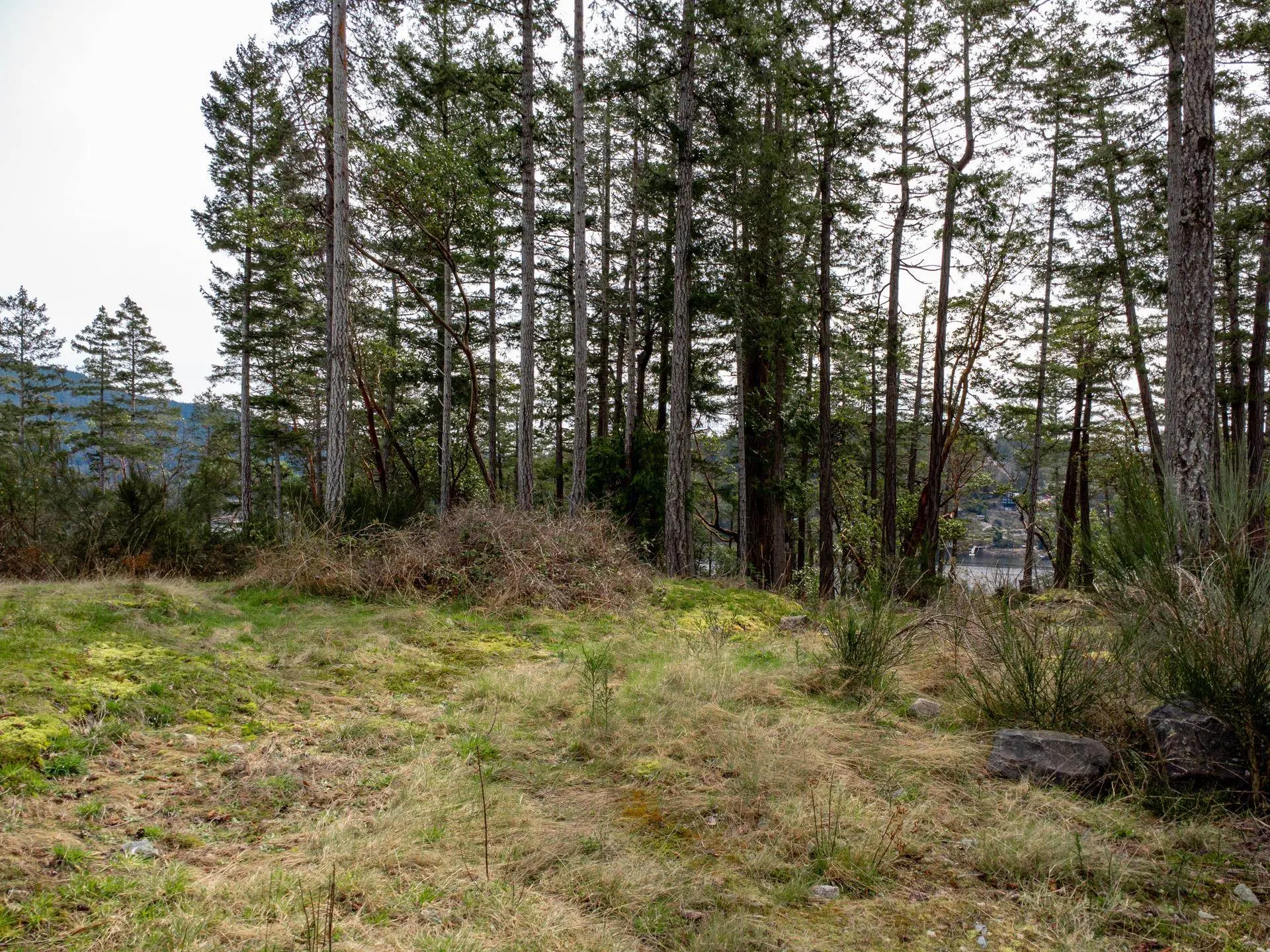 LOT 13 Flagship Road - Image 10