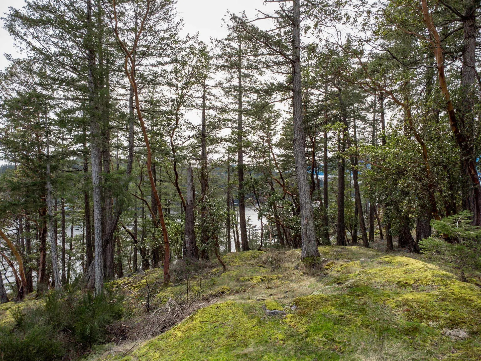 LOT 13 Flagship Road - Image 11