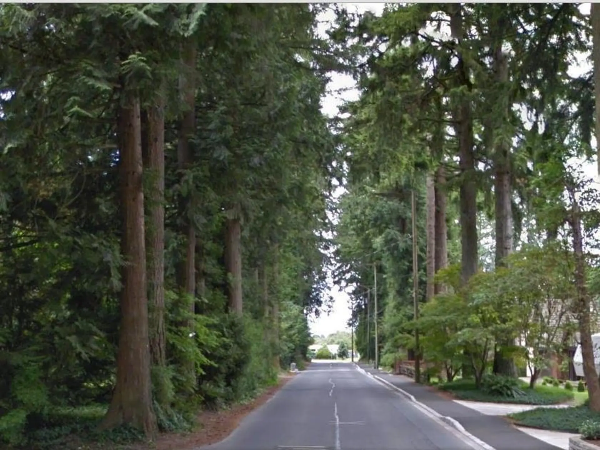21310 124 Avenue - Image 16