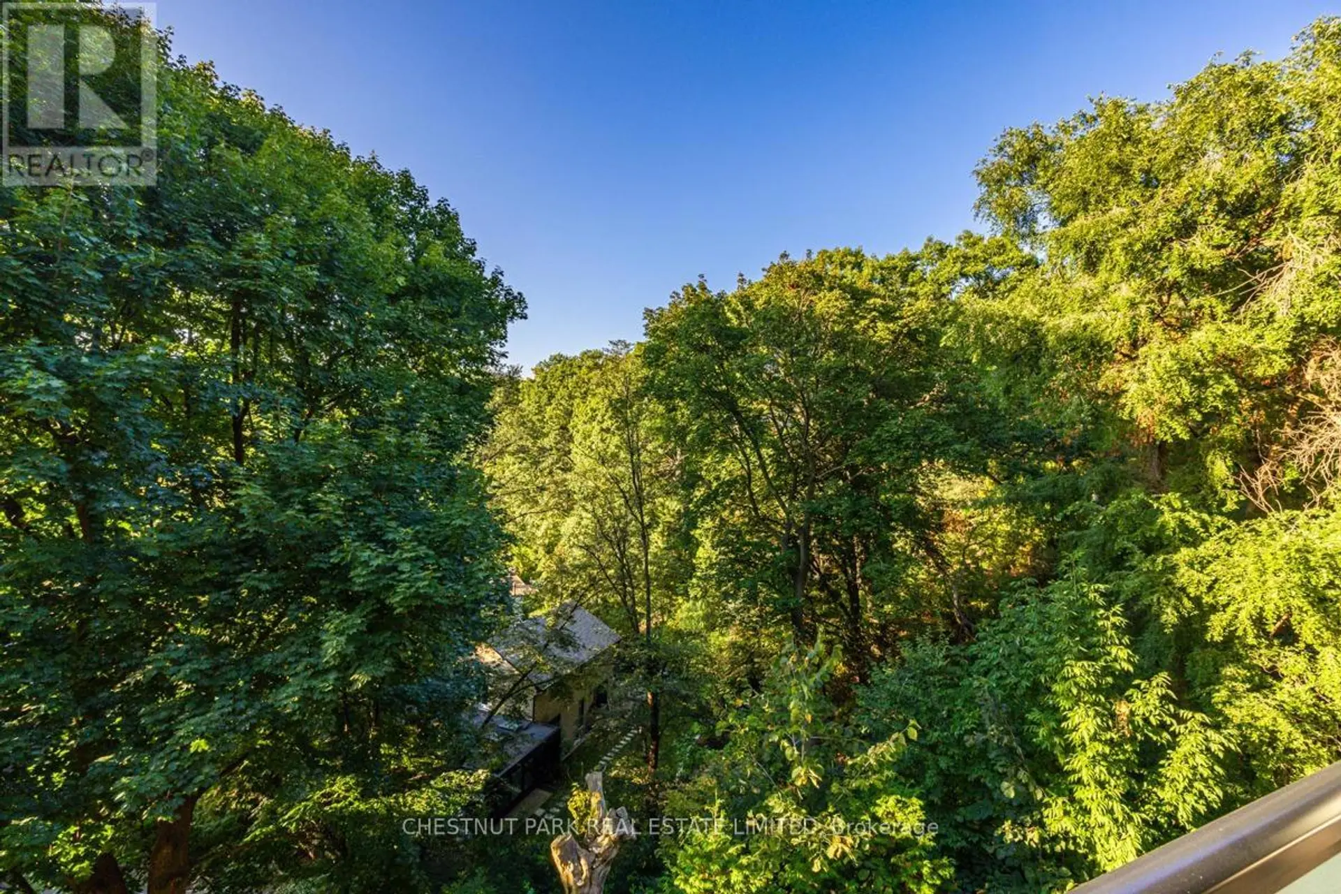 #201 630 KINGSTON ROAD - Image 11