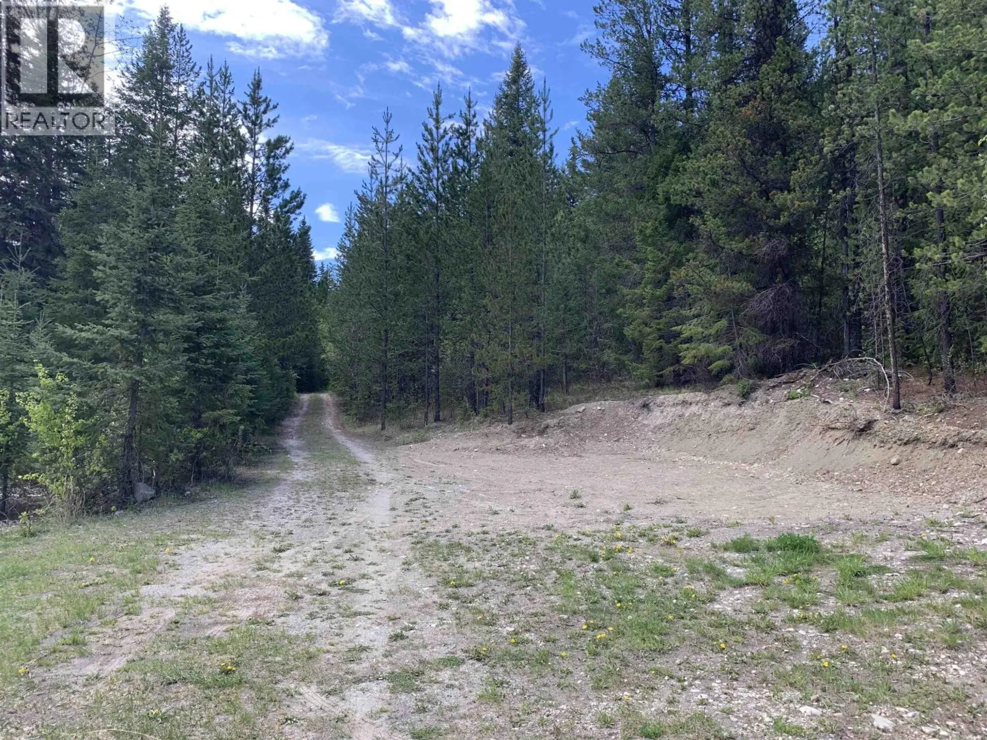 LOT A STARLIKE LAKE ROAD - Image 11