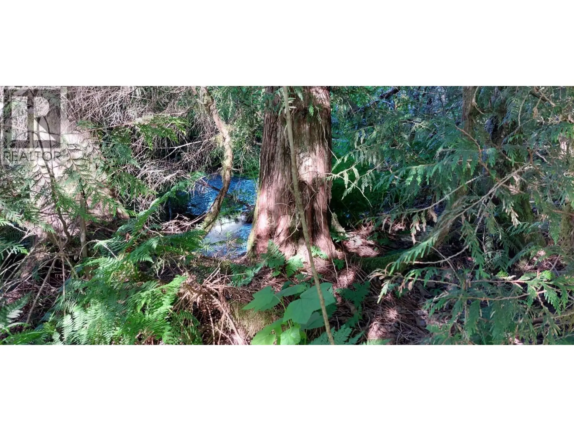 2250 MACKENZIE 20 HIGHWAY - Image 13