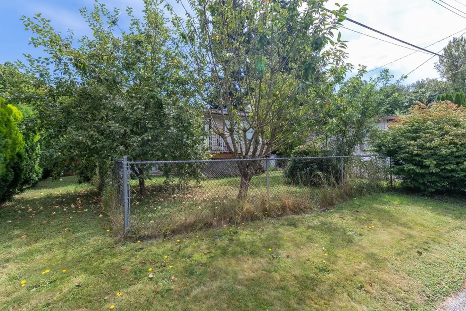 10144 Wedgewood Drive - Image 3
