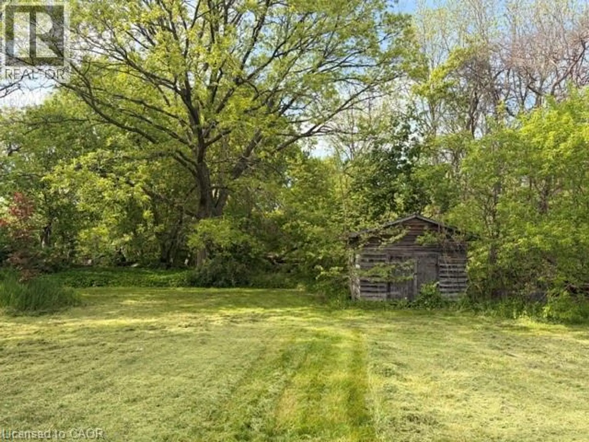 37 YOUNG Street - Image 4