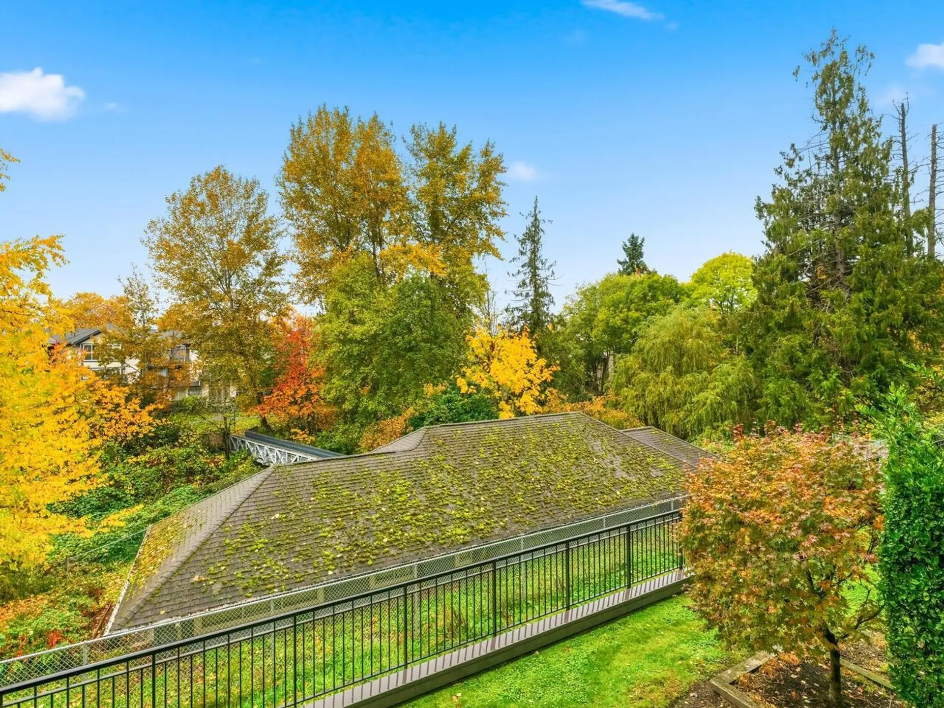 Property at #206 20062 Fraser Highway, Langley, BC