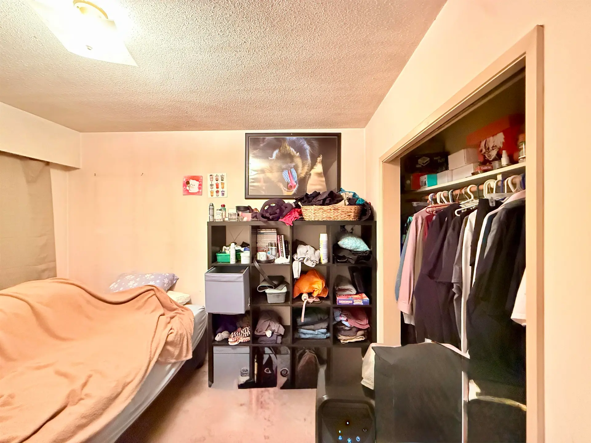 8631 Leslie Road - Image 8