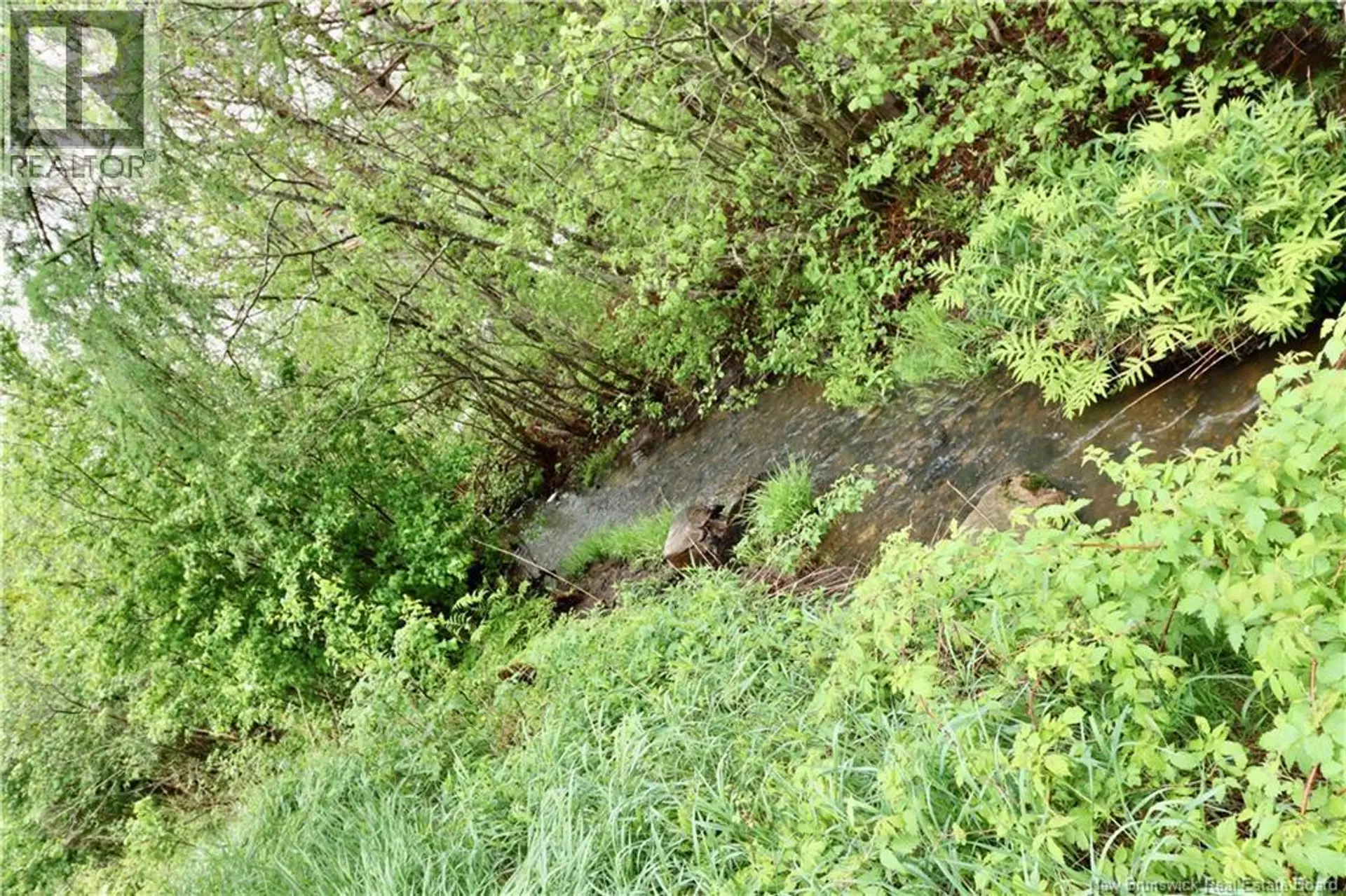 12 Goddard - Image 16