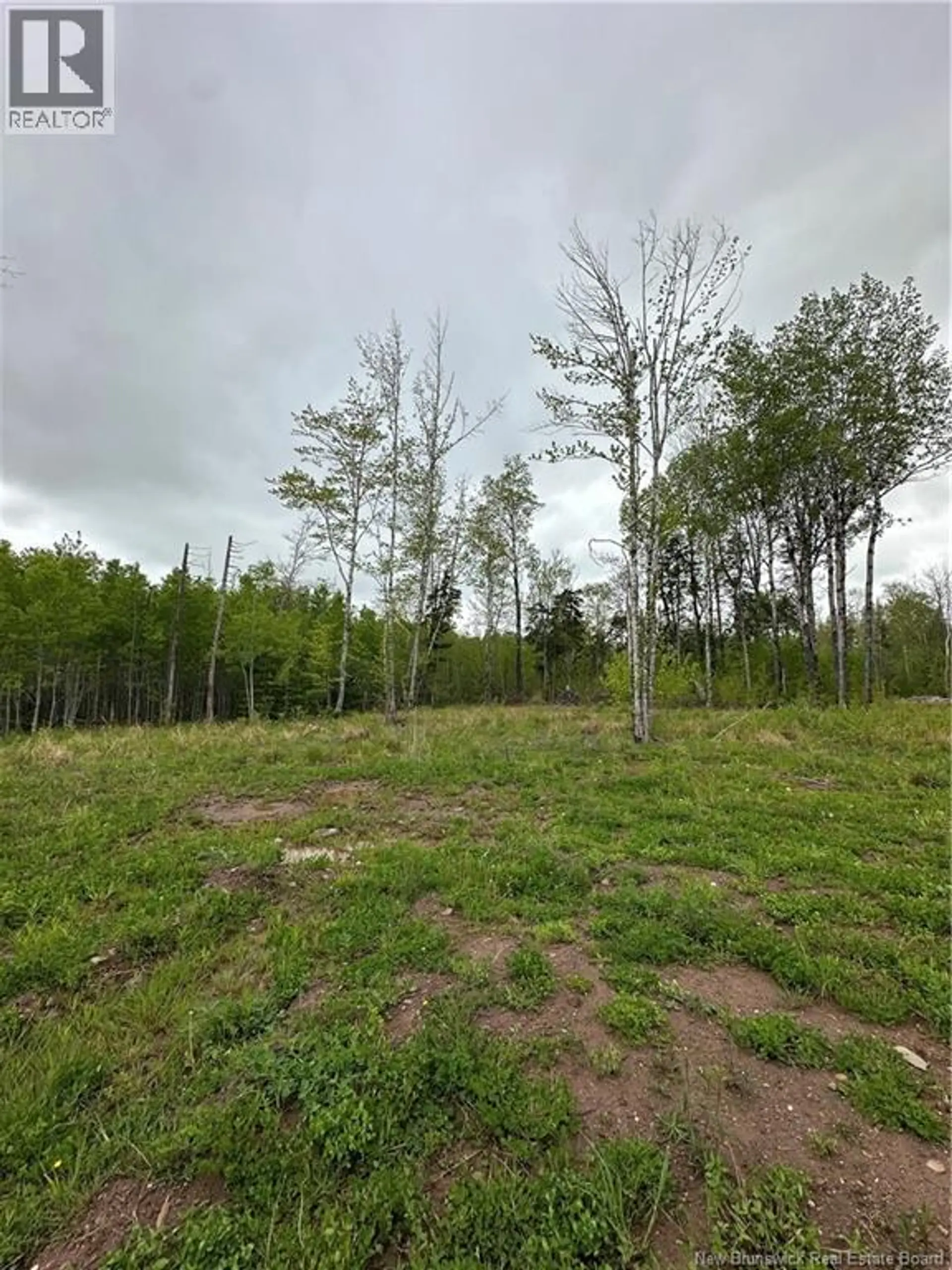 117 Alward Road - Image 4