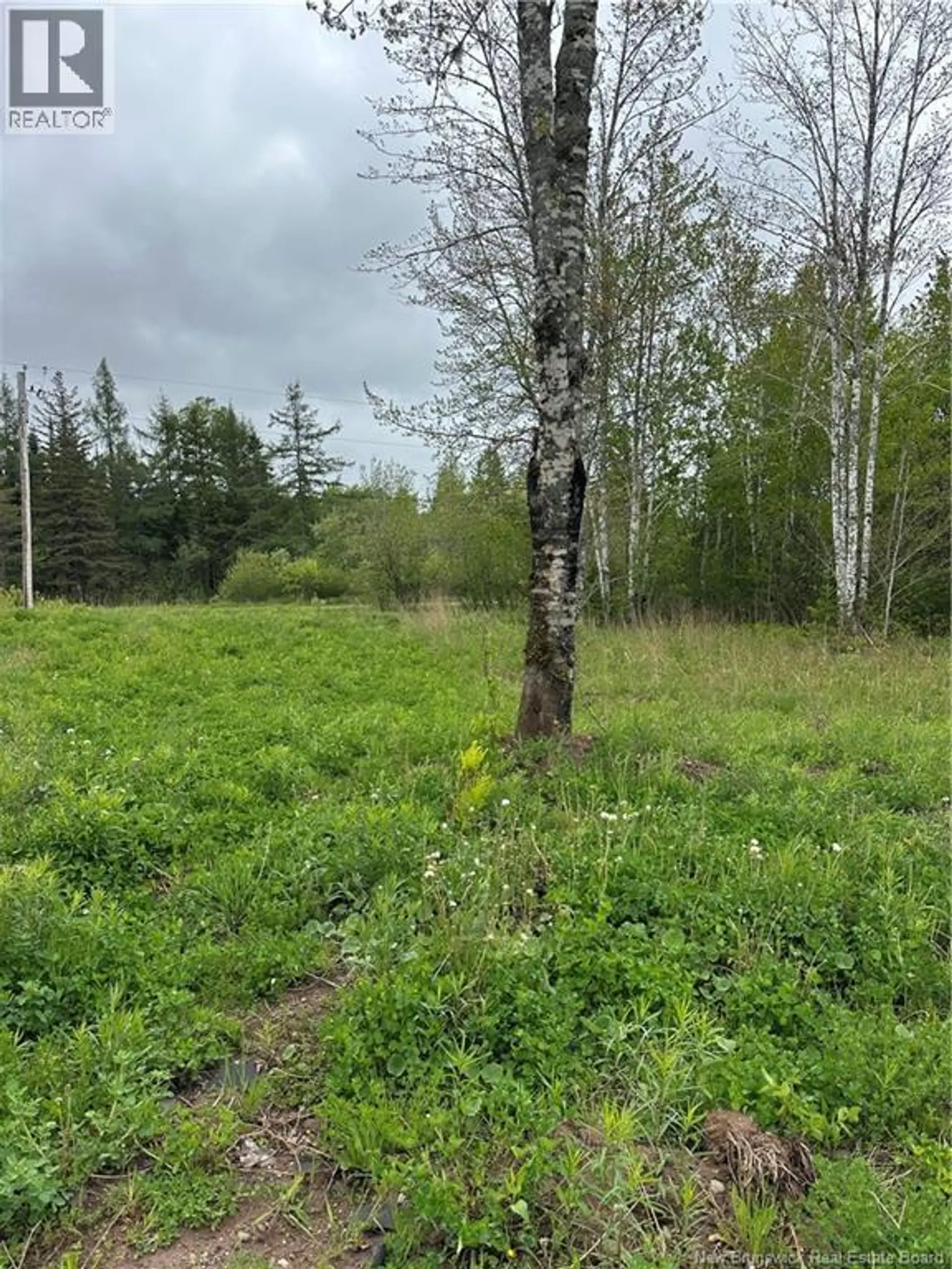 117 Alward Road - Image 5