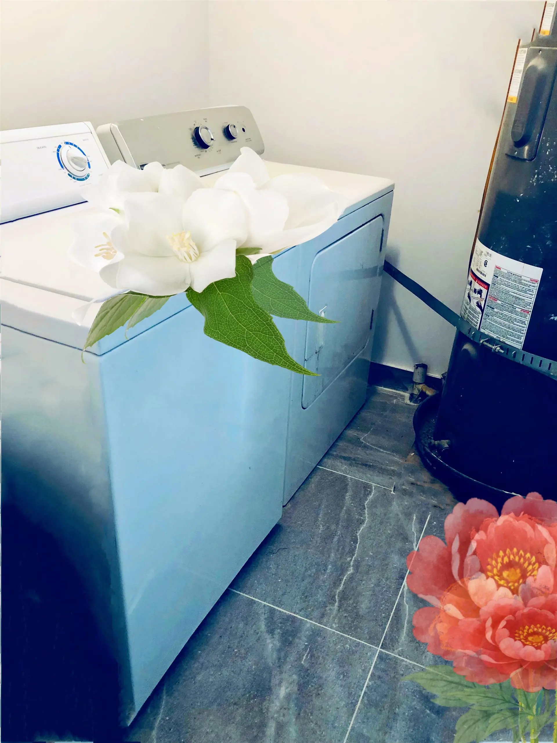 4313 Miller Street - Image 18
