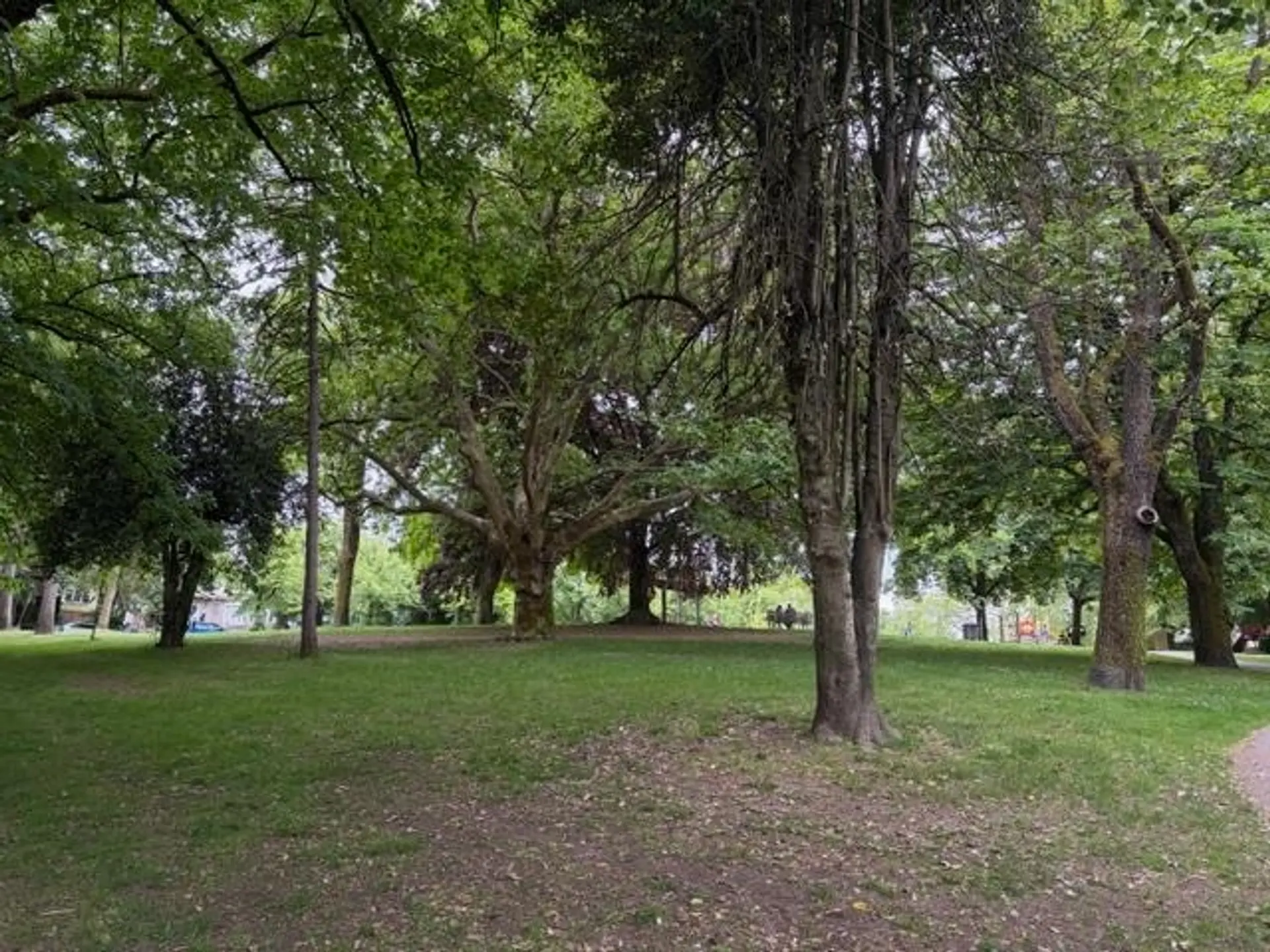1166 E 16th Avenue - Image 6