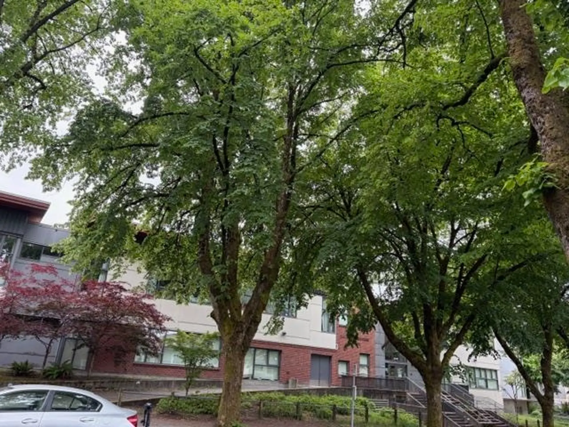 1166 E 16th Avenue - Image 7
