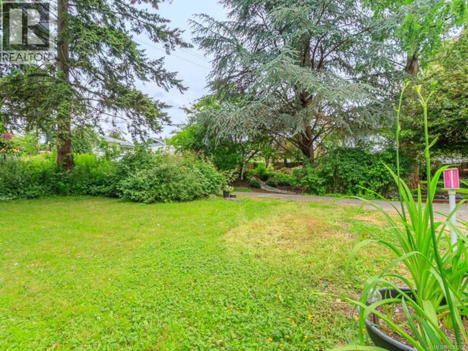 713 Victoria Rd - Image 5