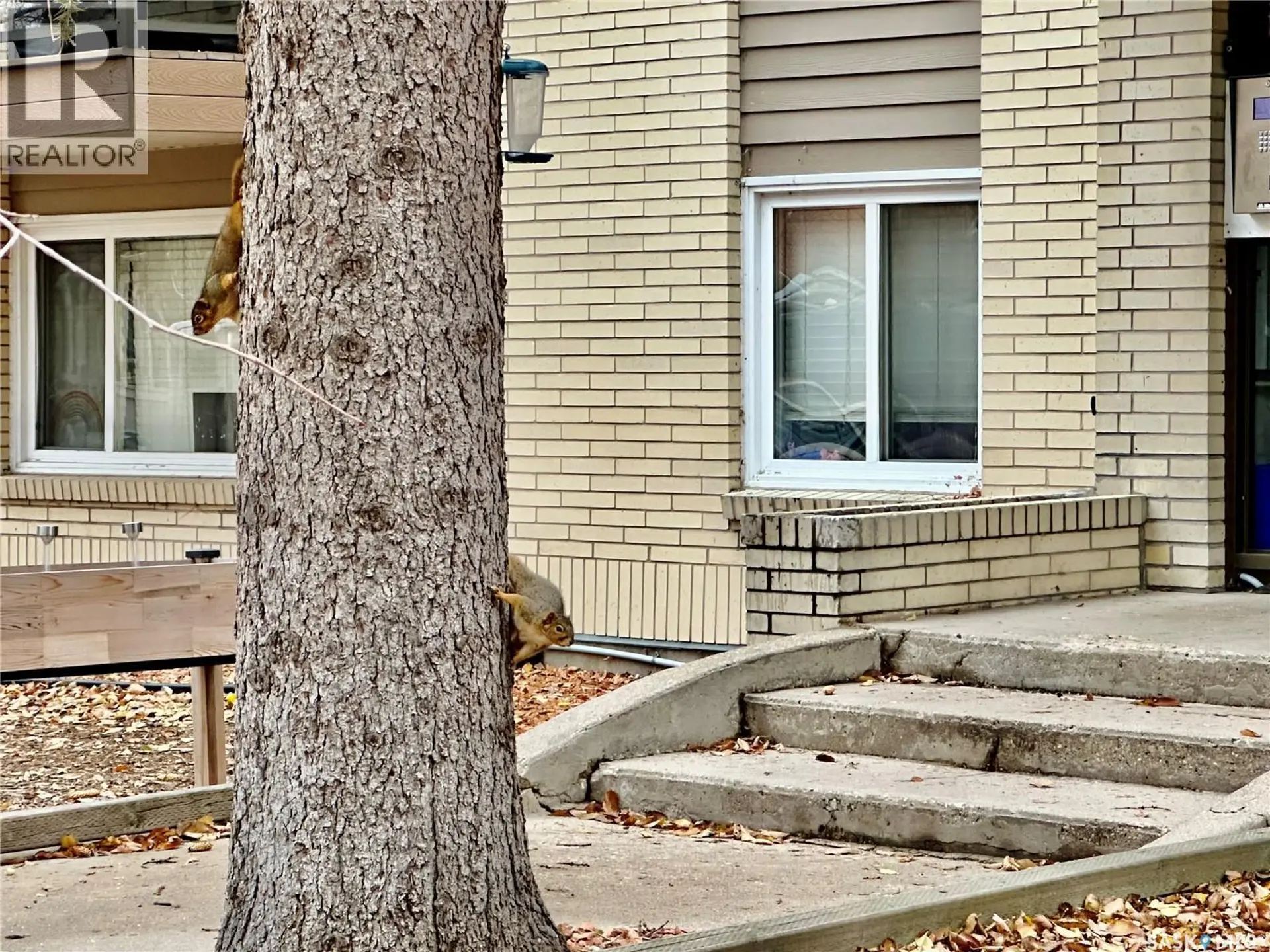 #2 2358 Rae STREET - Image 13