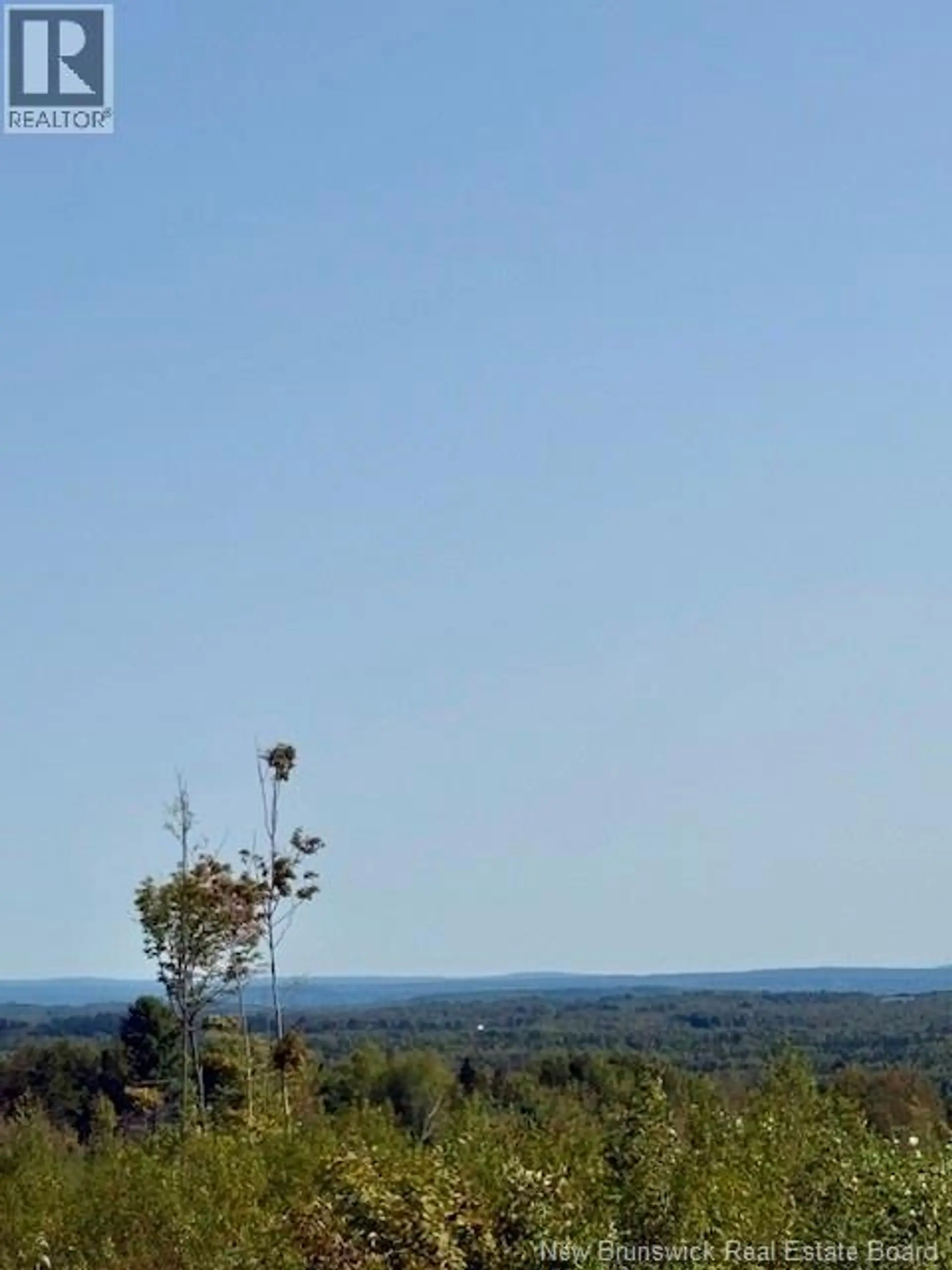 165 Green Road - Image 15