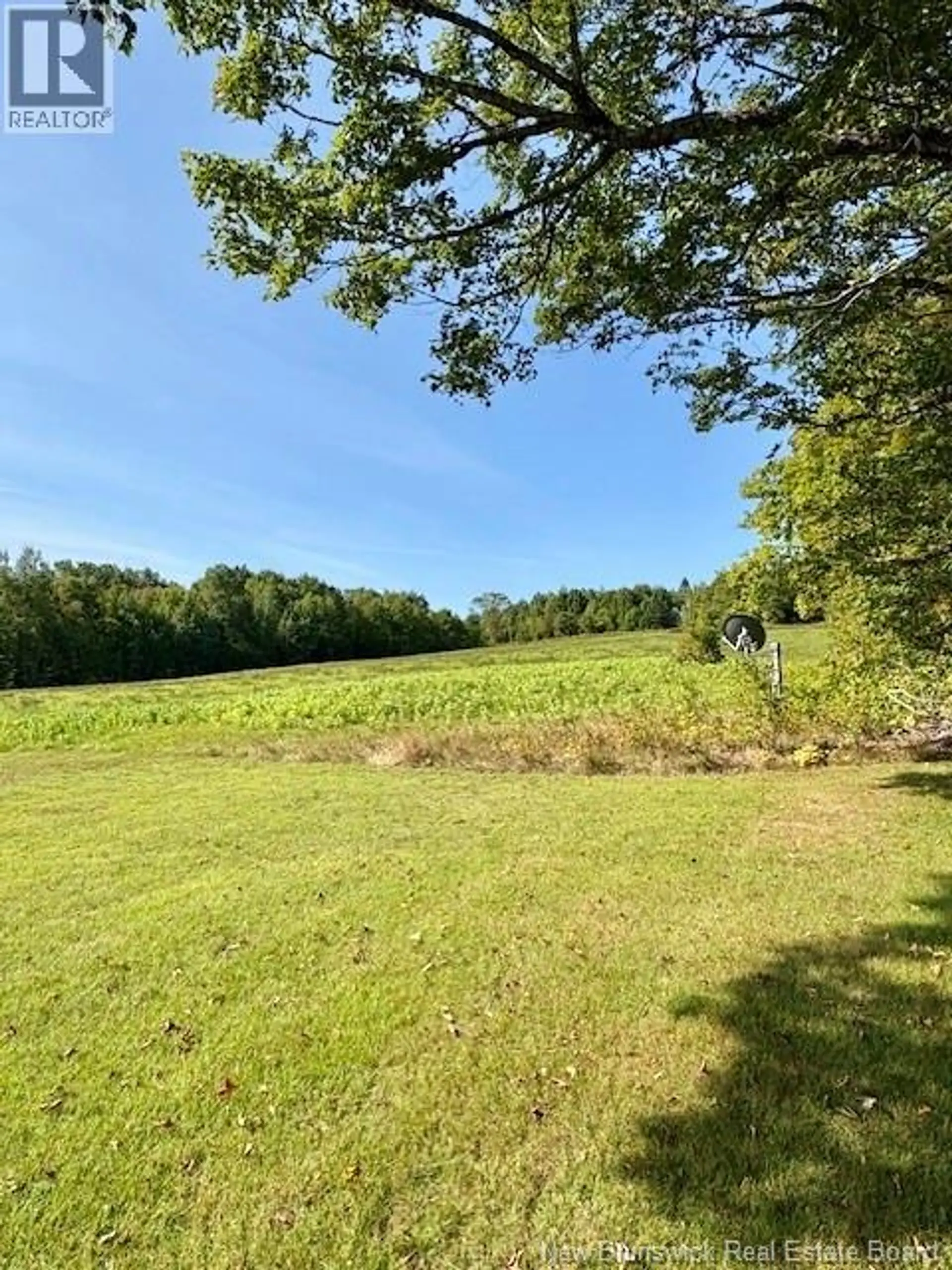 165 Green Road - Image 2