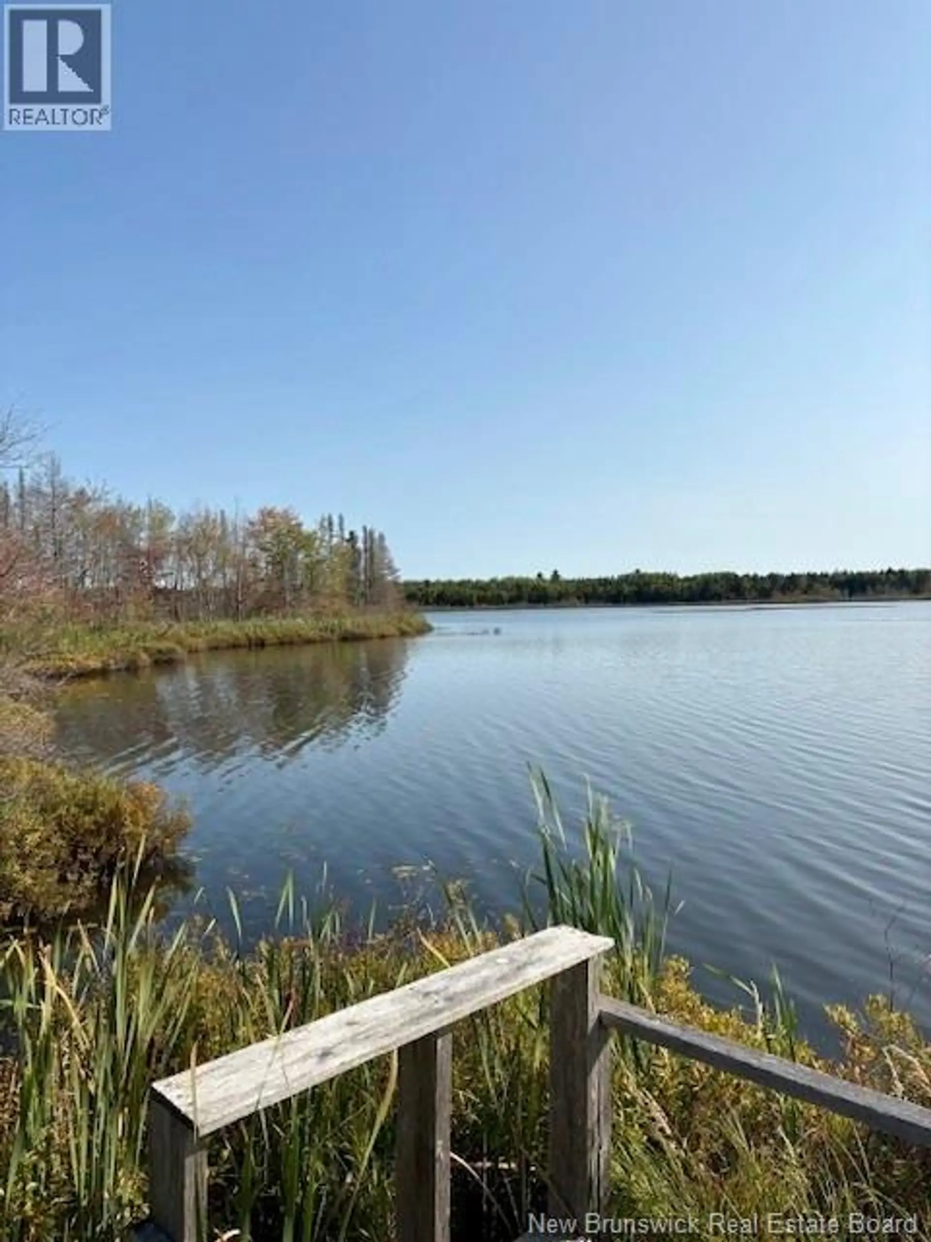 165 Green Road - Image 5