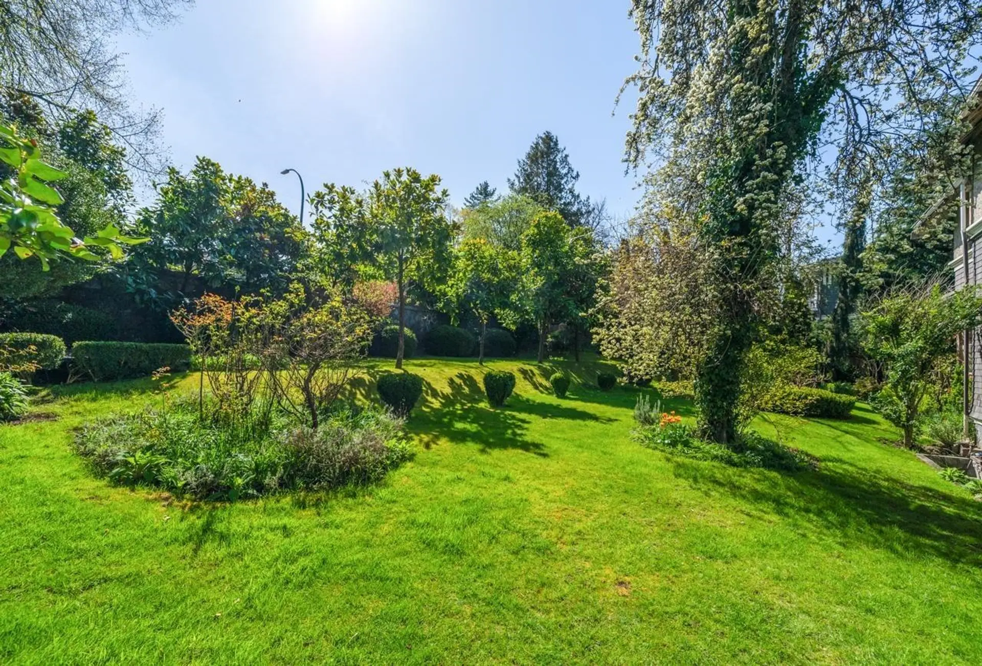1650 Cedar Crescent - Image 7