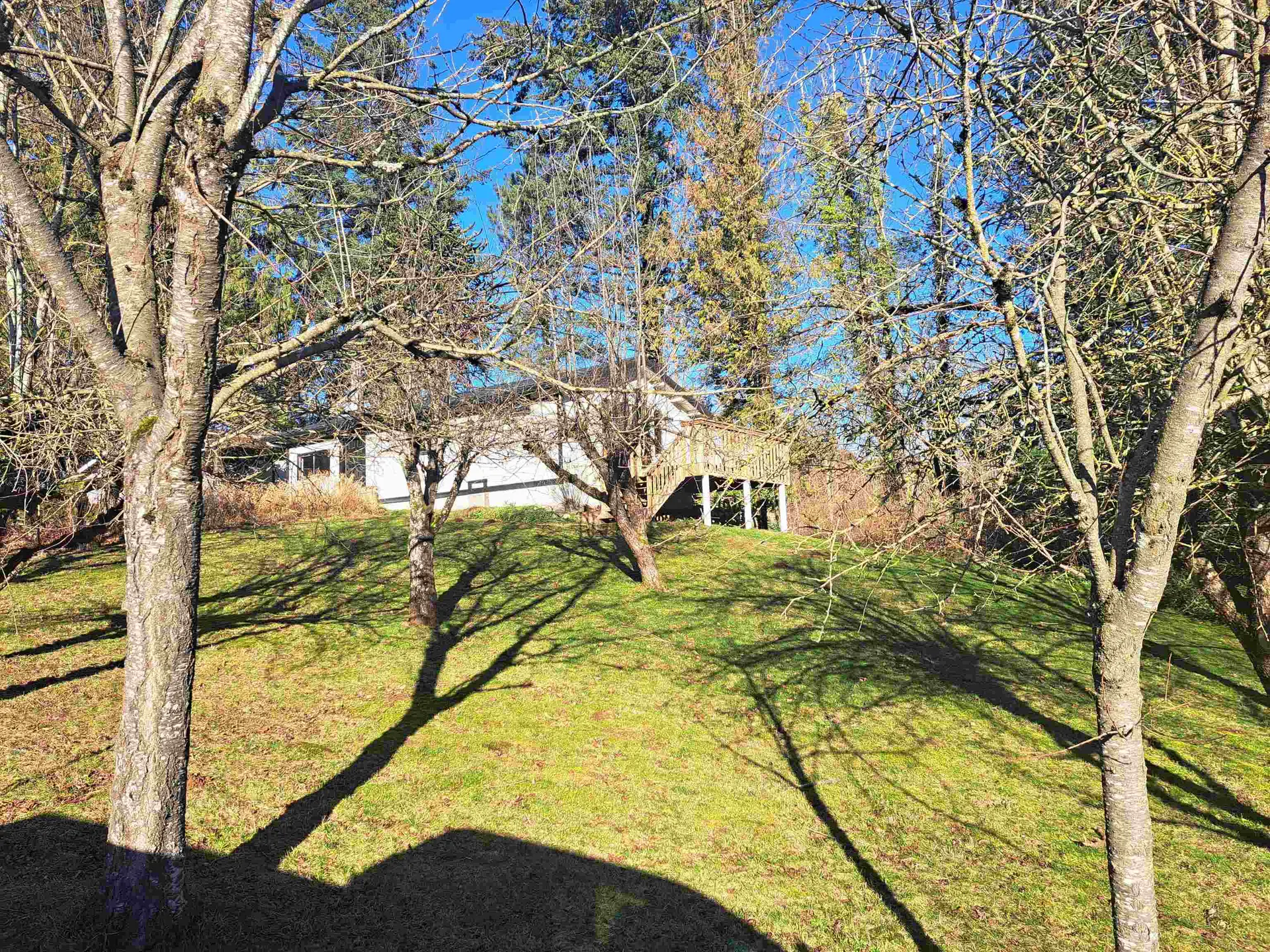 Property at 37318 Ward Road, Abbotsford, BC