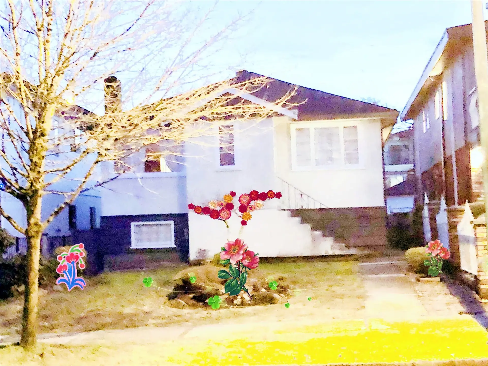 Property at 74 E 37th Avenue, Vancouver, BC