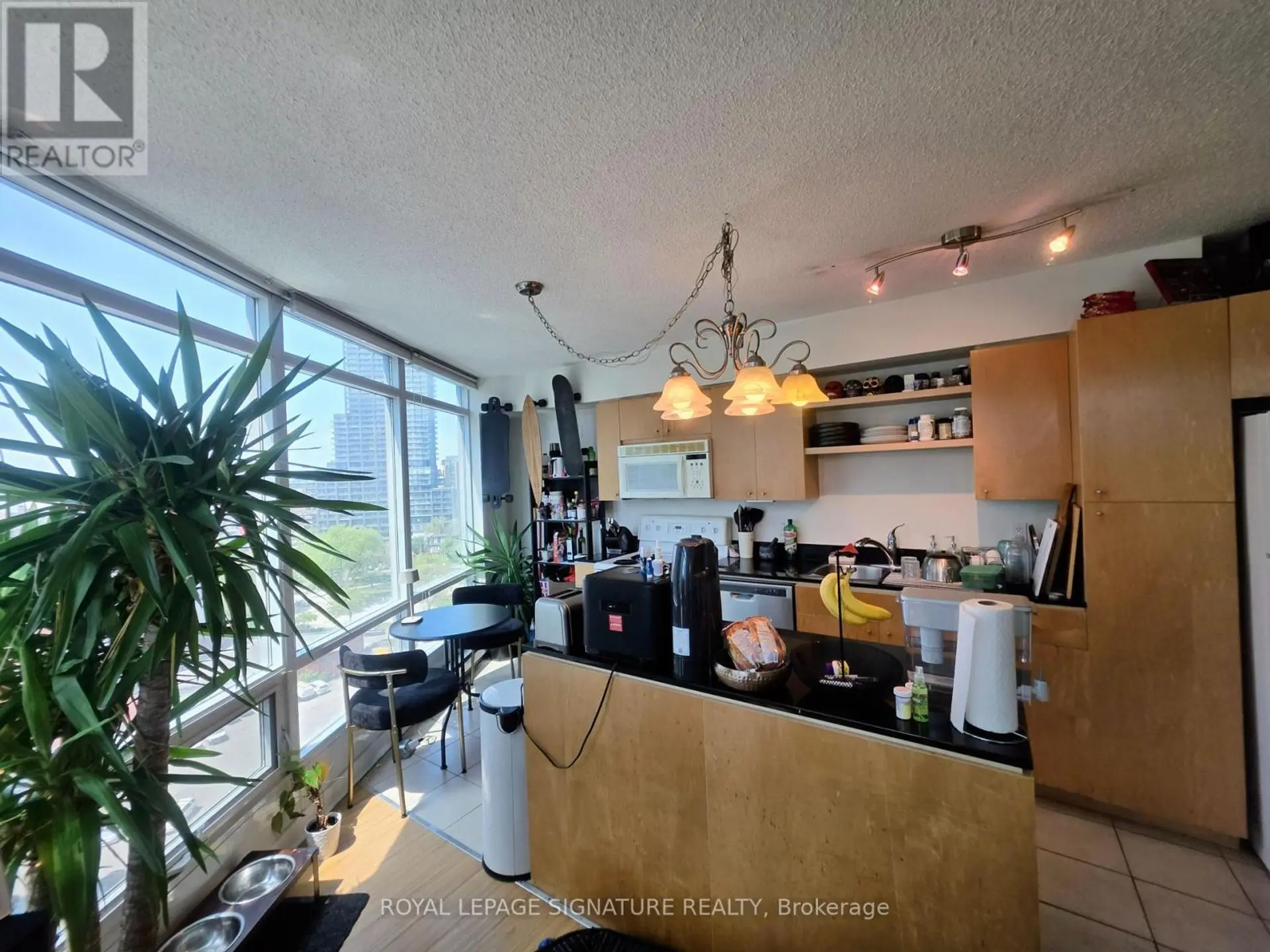 #1703 373 FRONT STREET W - Image 7