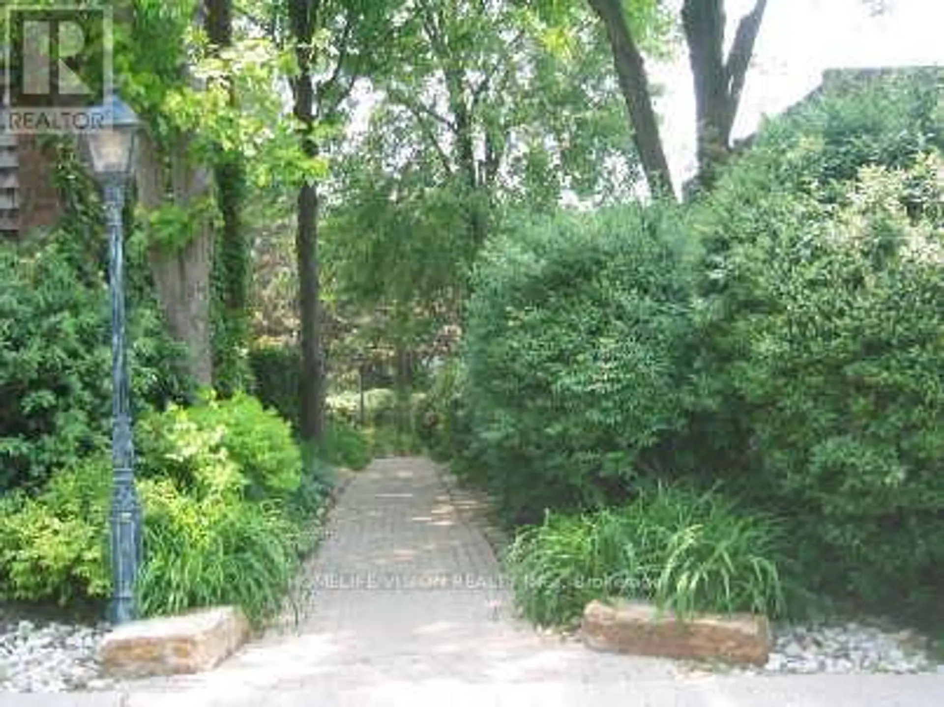 6 LAURIE SHEPWAY - Image 14