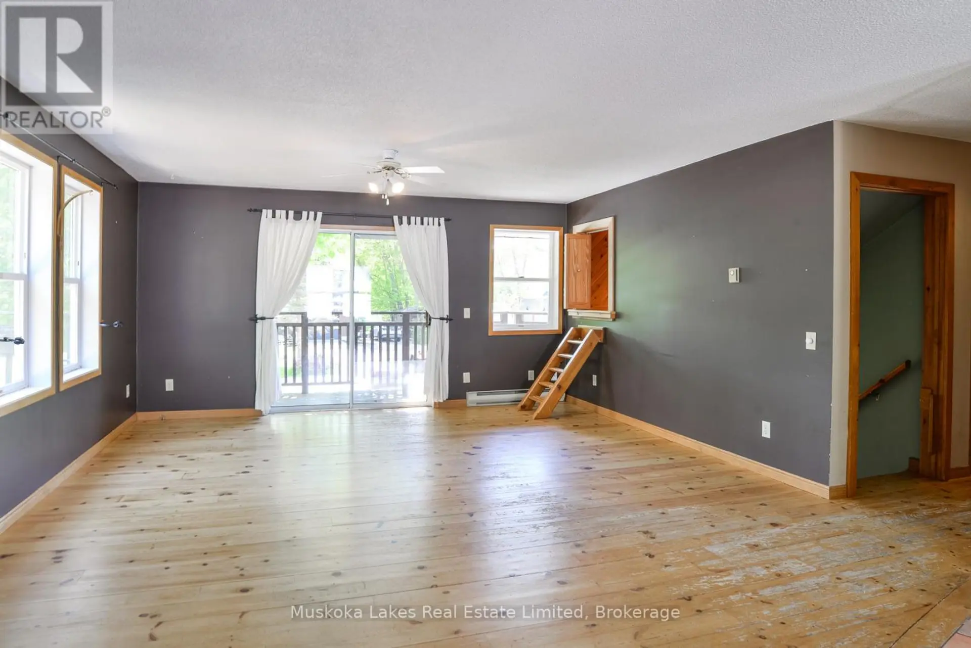11 HARRIS STREET - Image 8