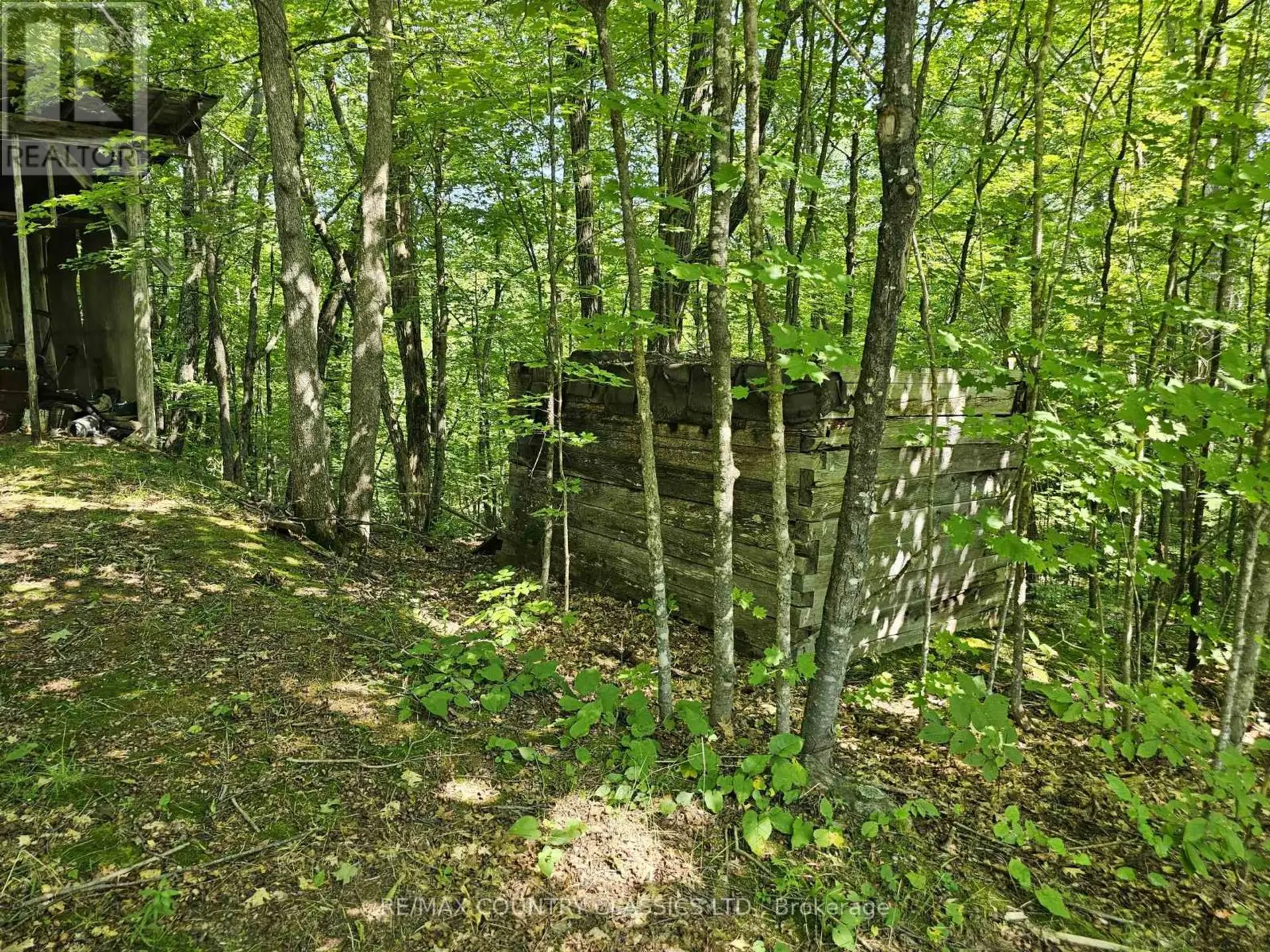 388 O'GRADY SETTLEMENT ROAD - Image 19