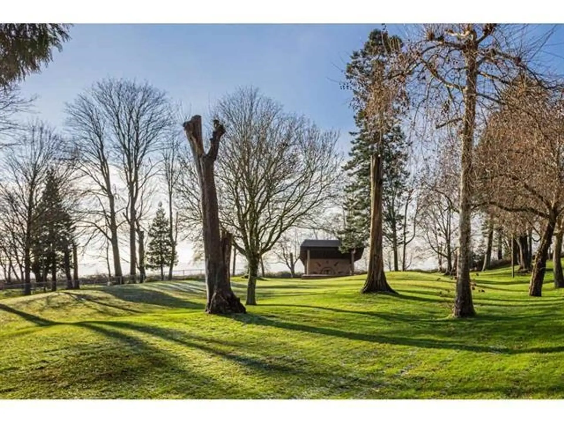 #303 15777 Marine Drive - Image 6