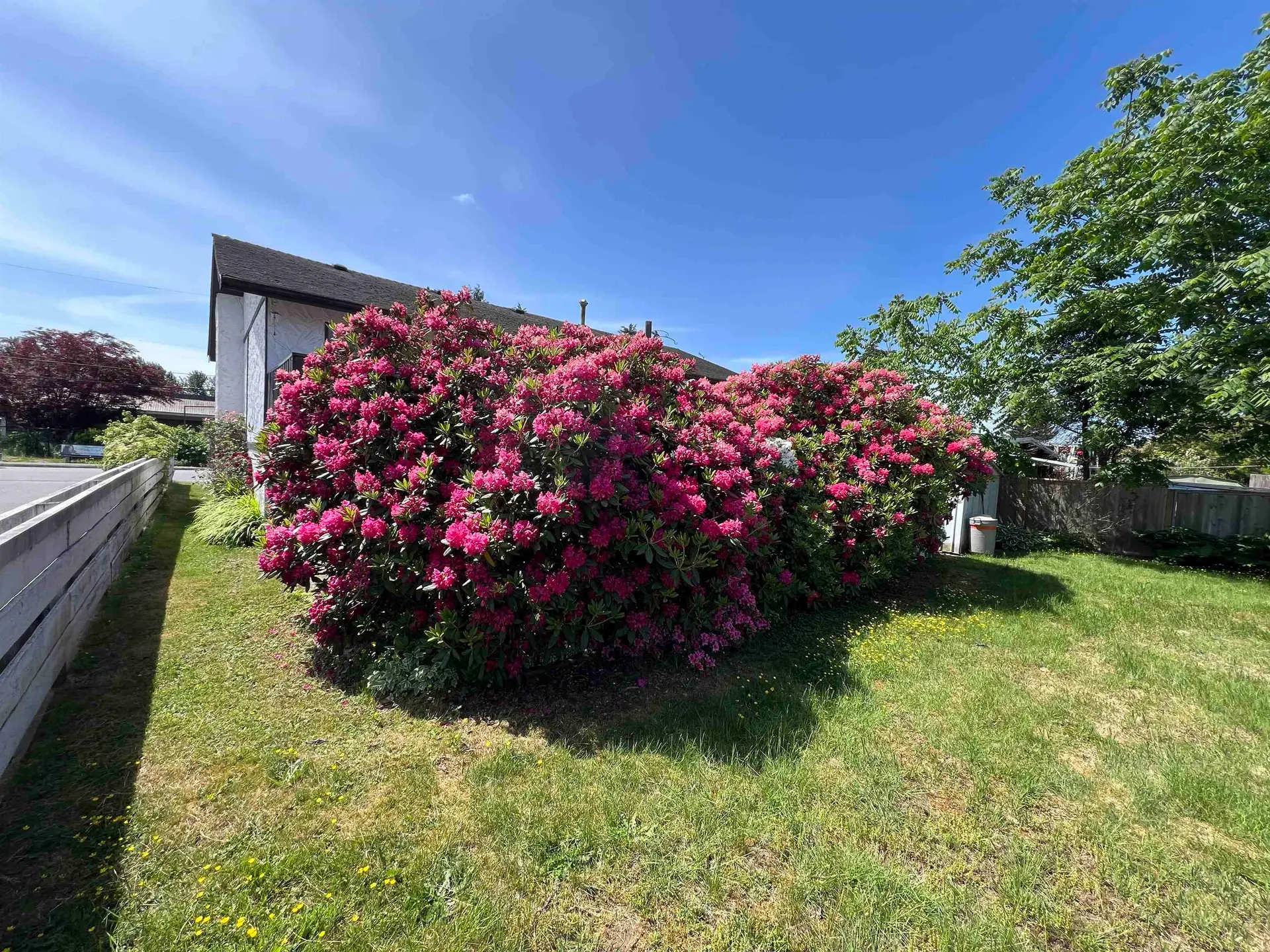 32173 Scott Avenue - Image 9