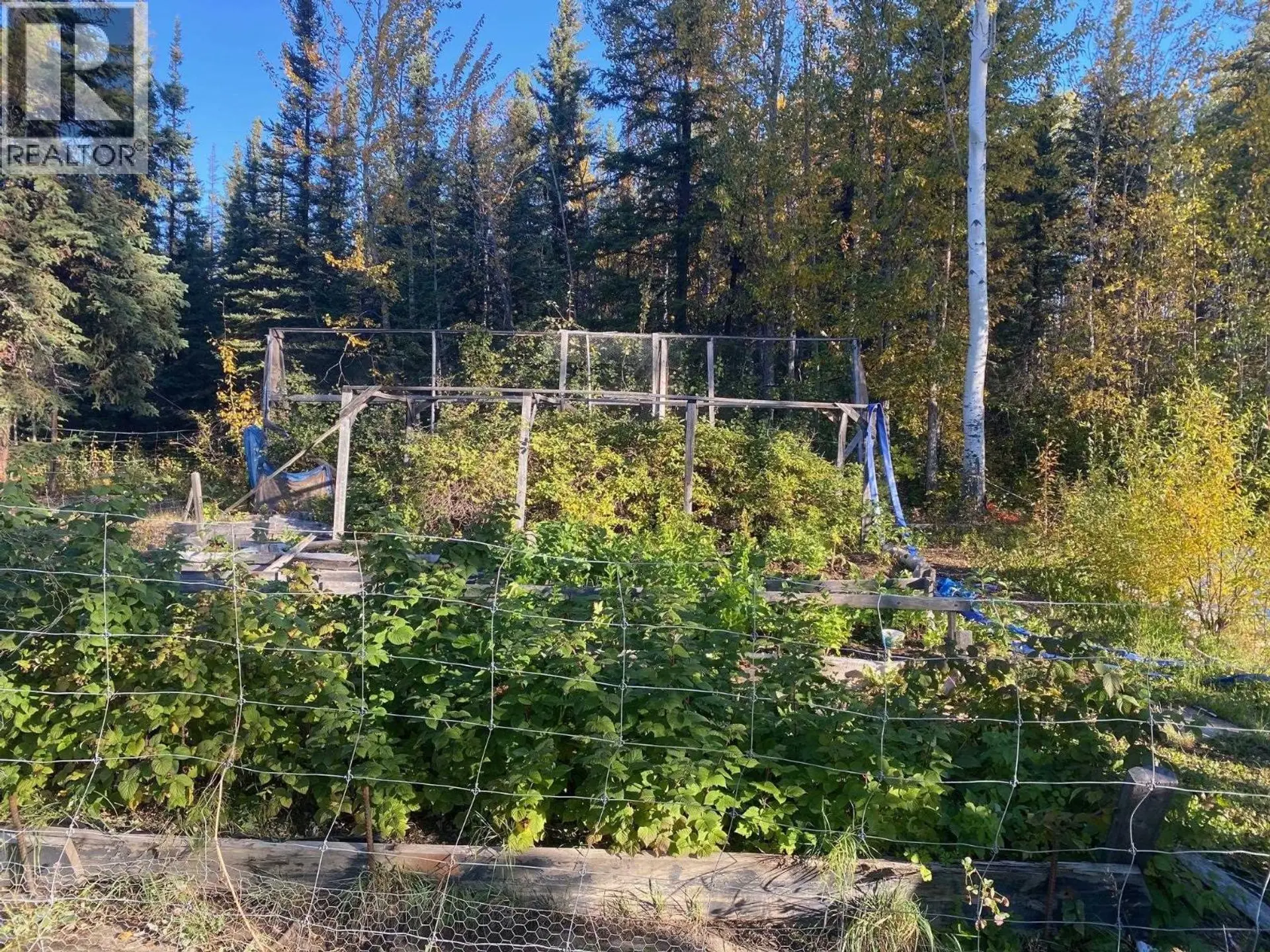 #MILE 317 LIARD HIGHWAY - Image 10