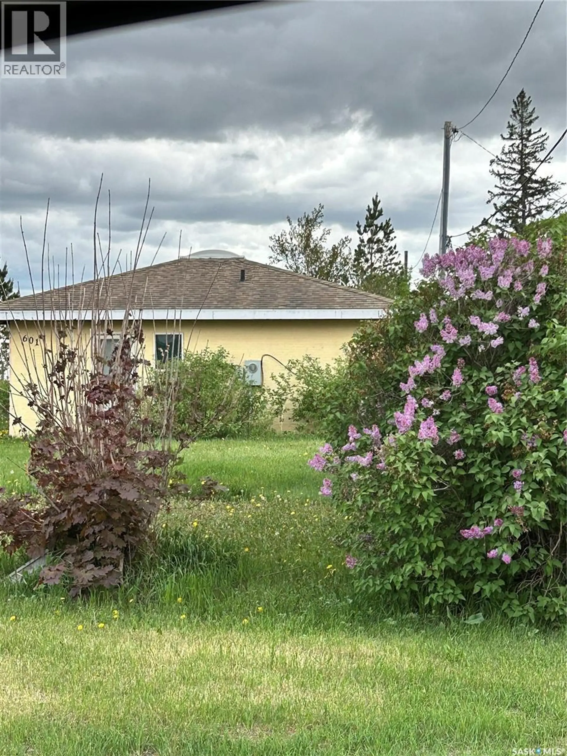 Property at 601 Colborne AVENUE, Viscount, SK
