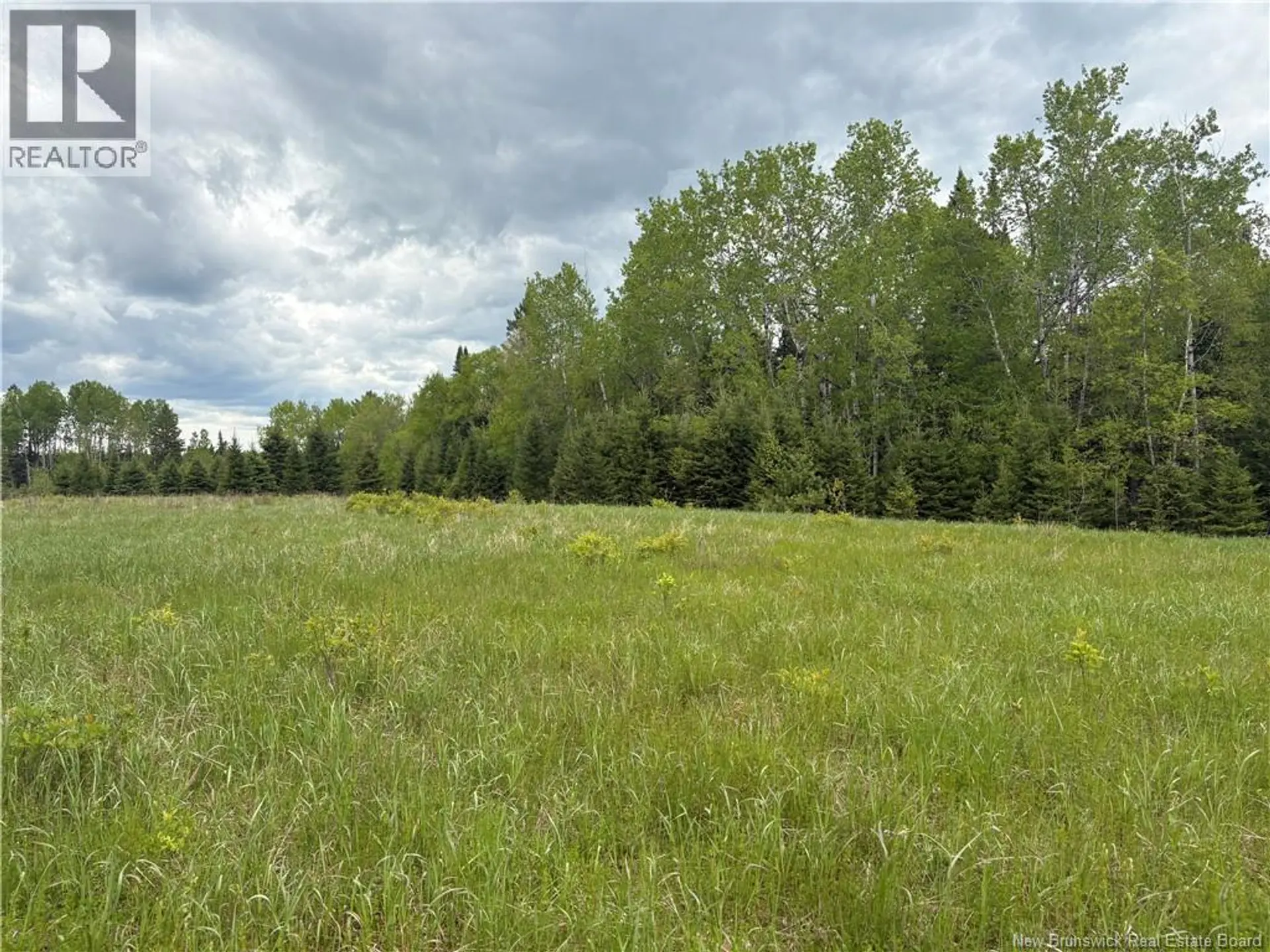 326 Dorn Ridge Road - Image 12