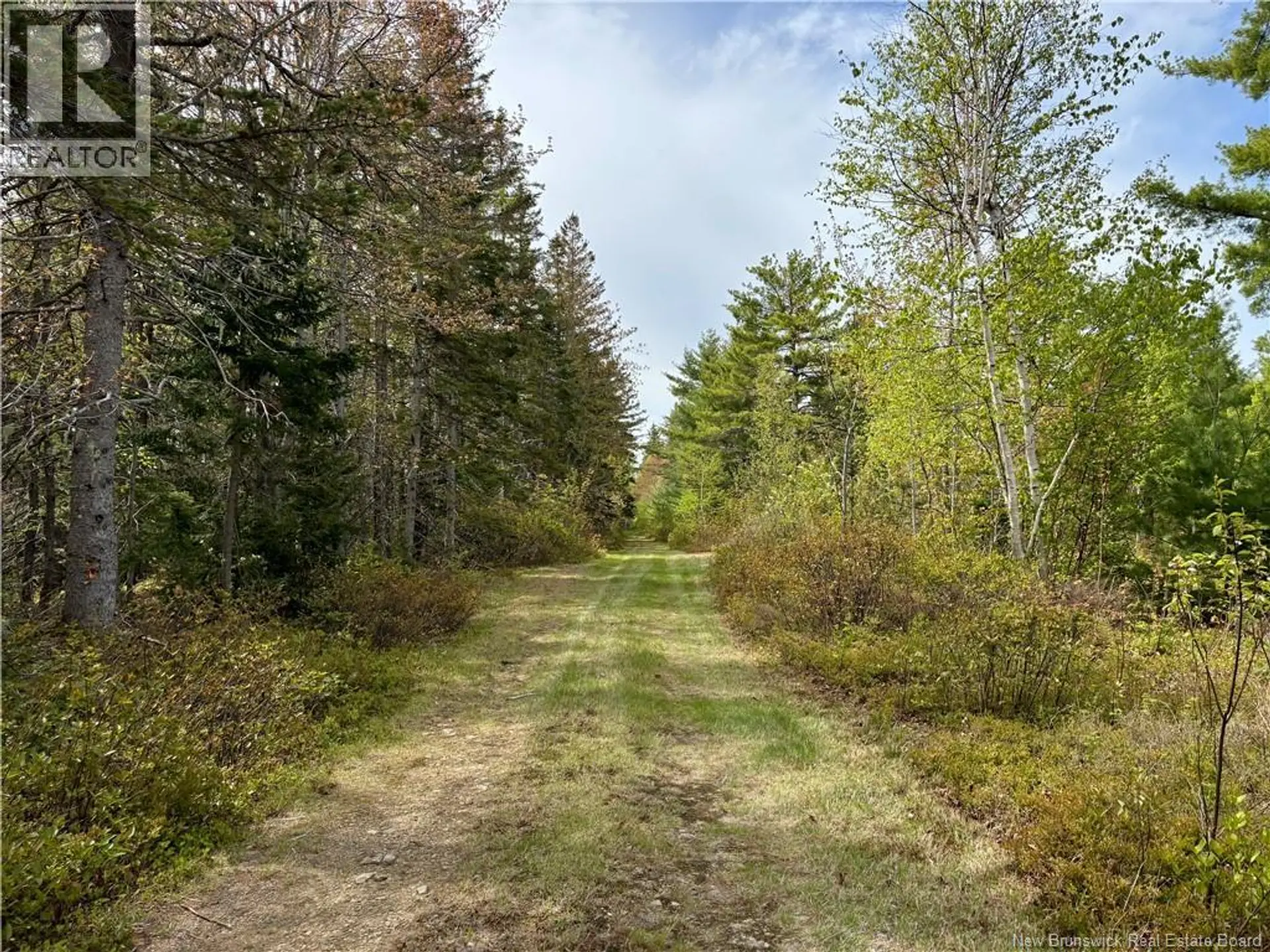 1892 Route 460 - Image 10