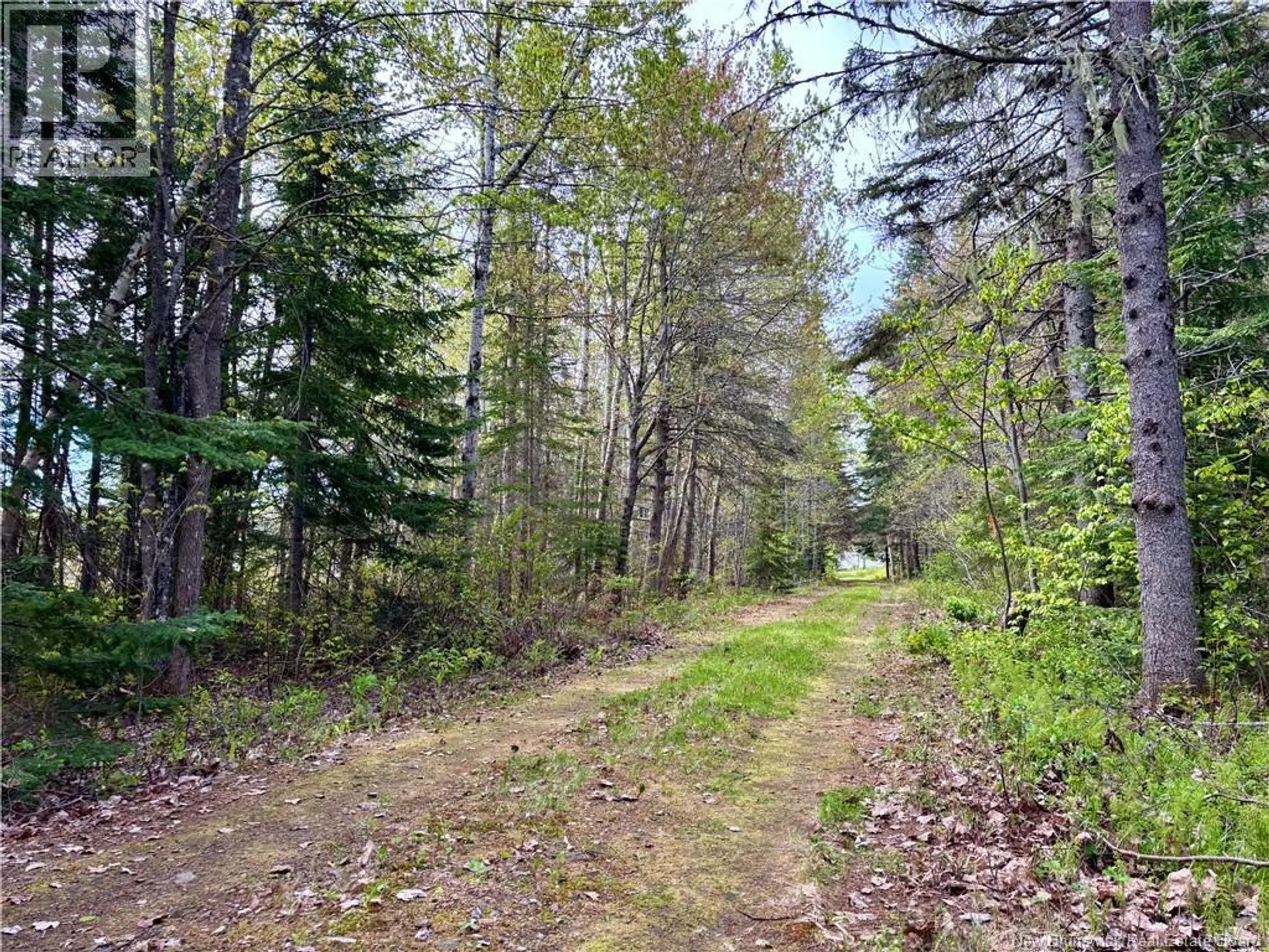1892 Route 460 - Image 9