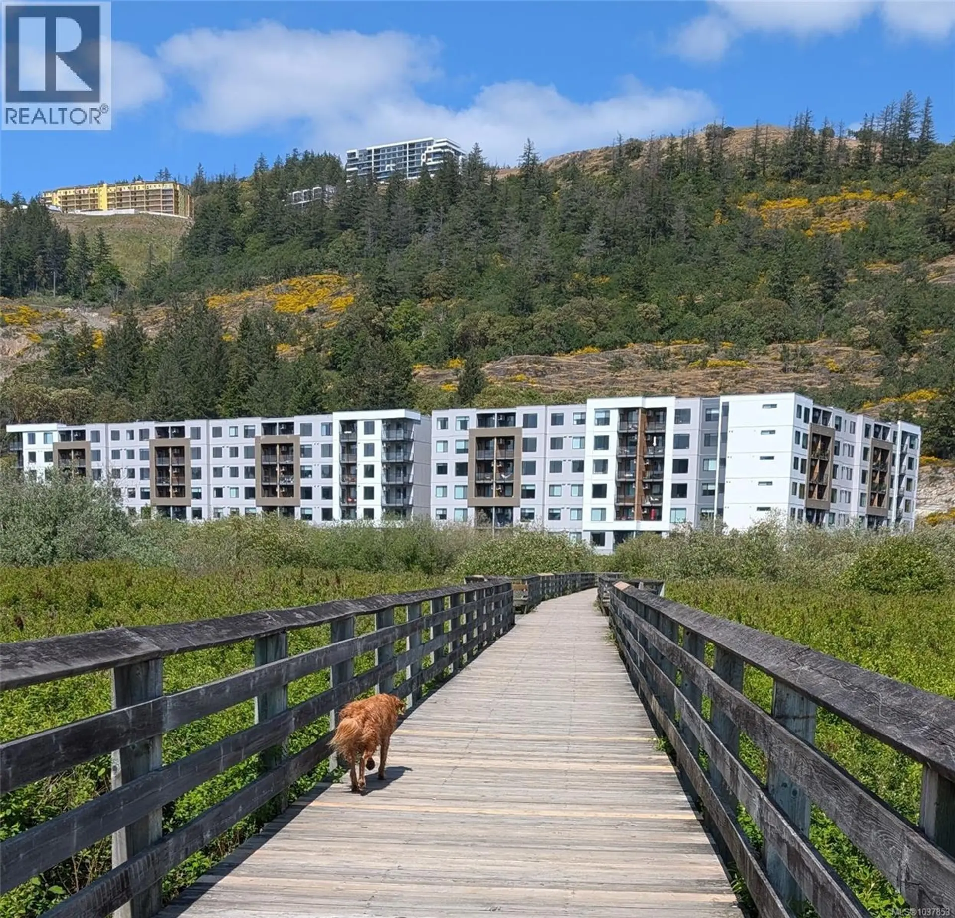 Property at #511 1361 Goldstream Ave, Langford, BC