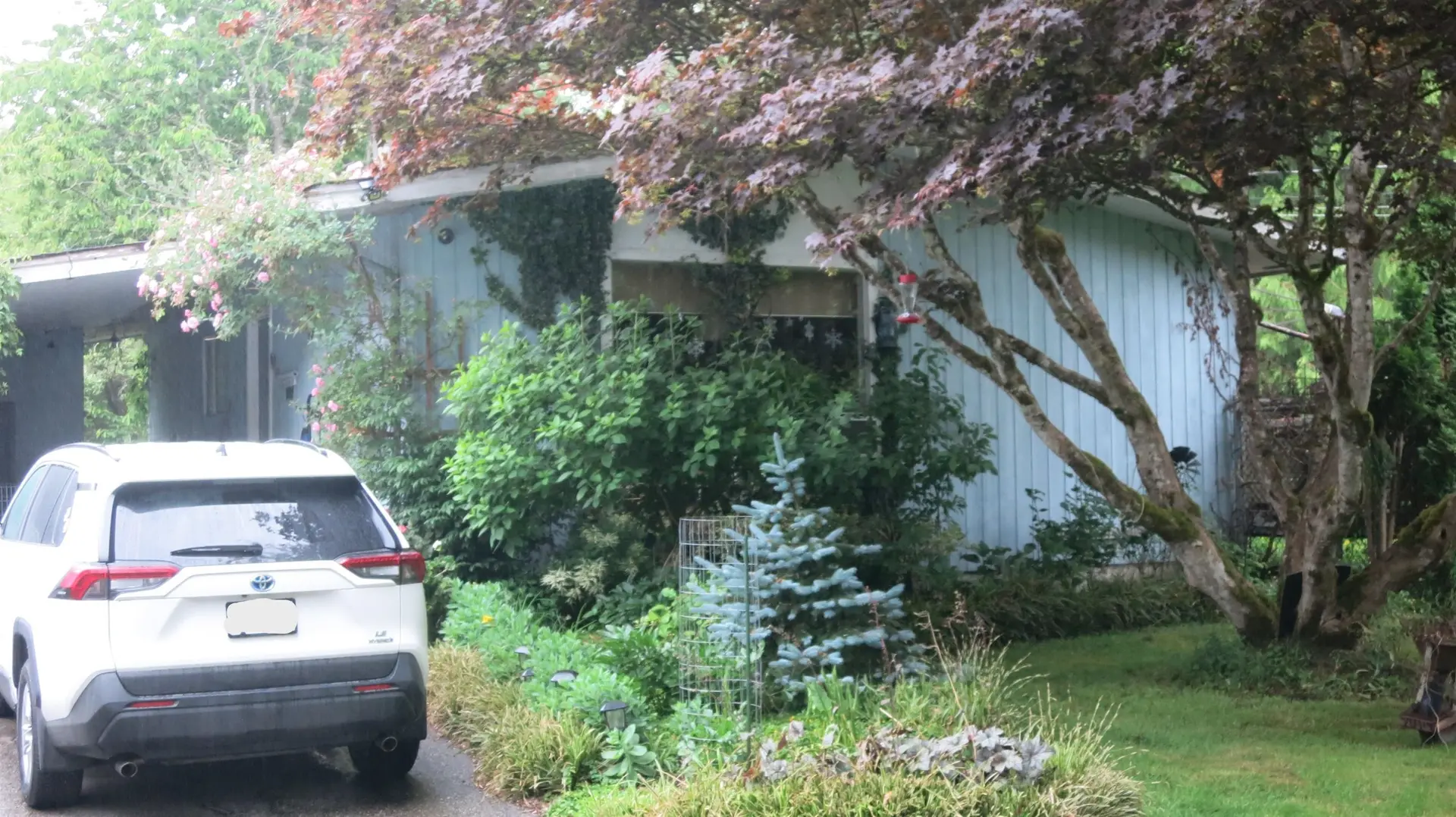 11709 248 Street - Image 2