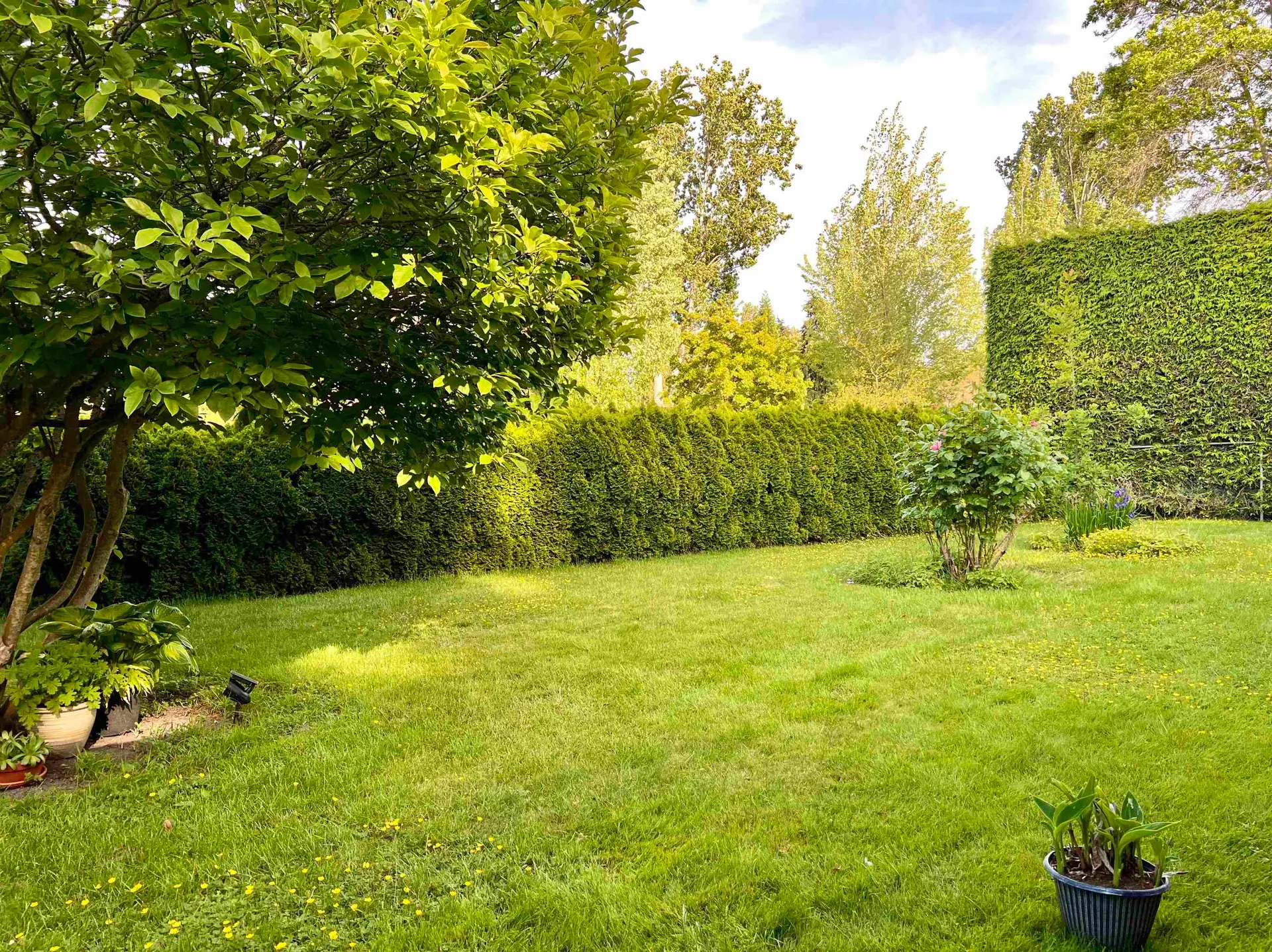 1052 Jackson Way - Image 4