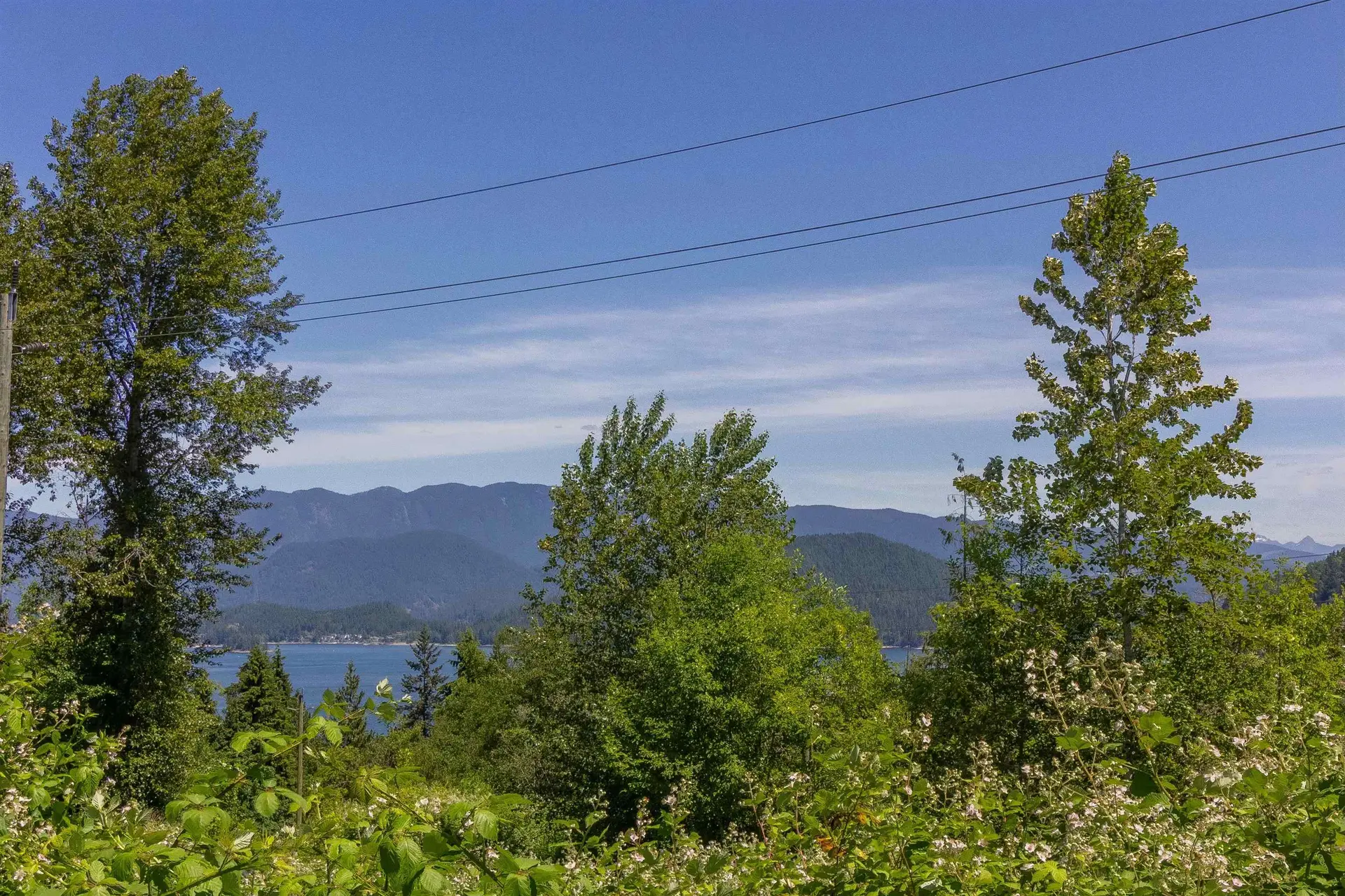 88 Fell Avenue - Image 11