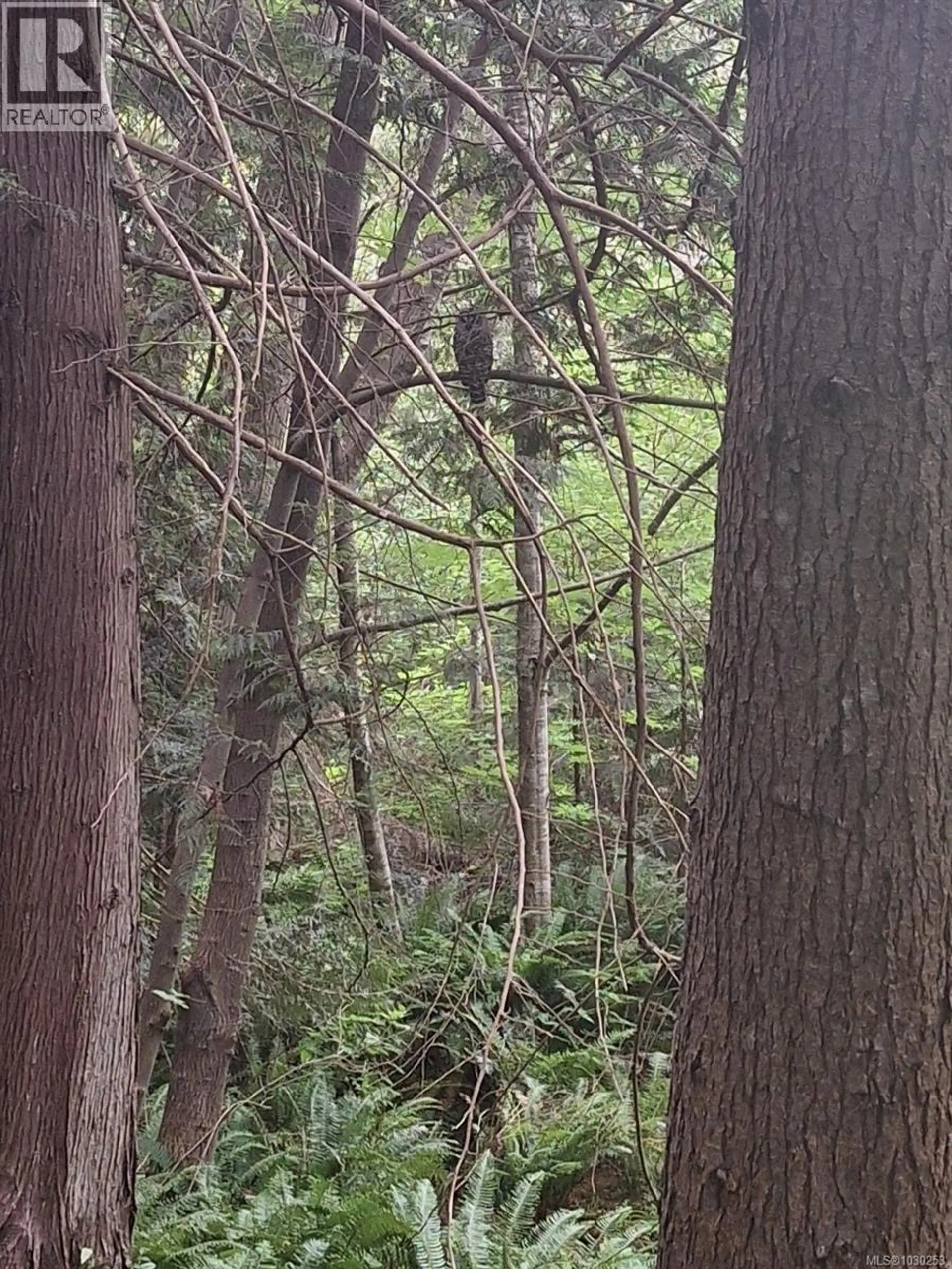 2359 Kendall Rd - Image 2