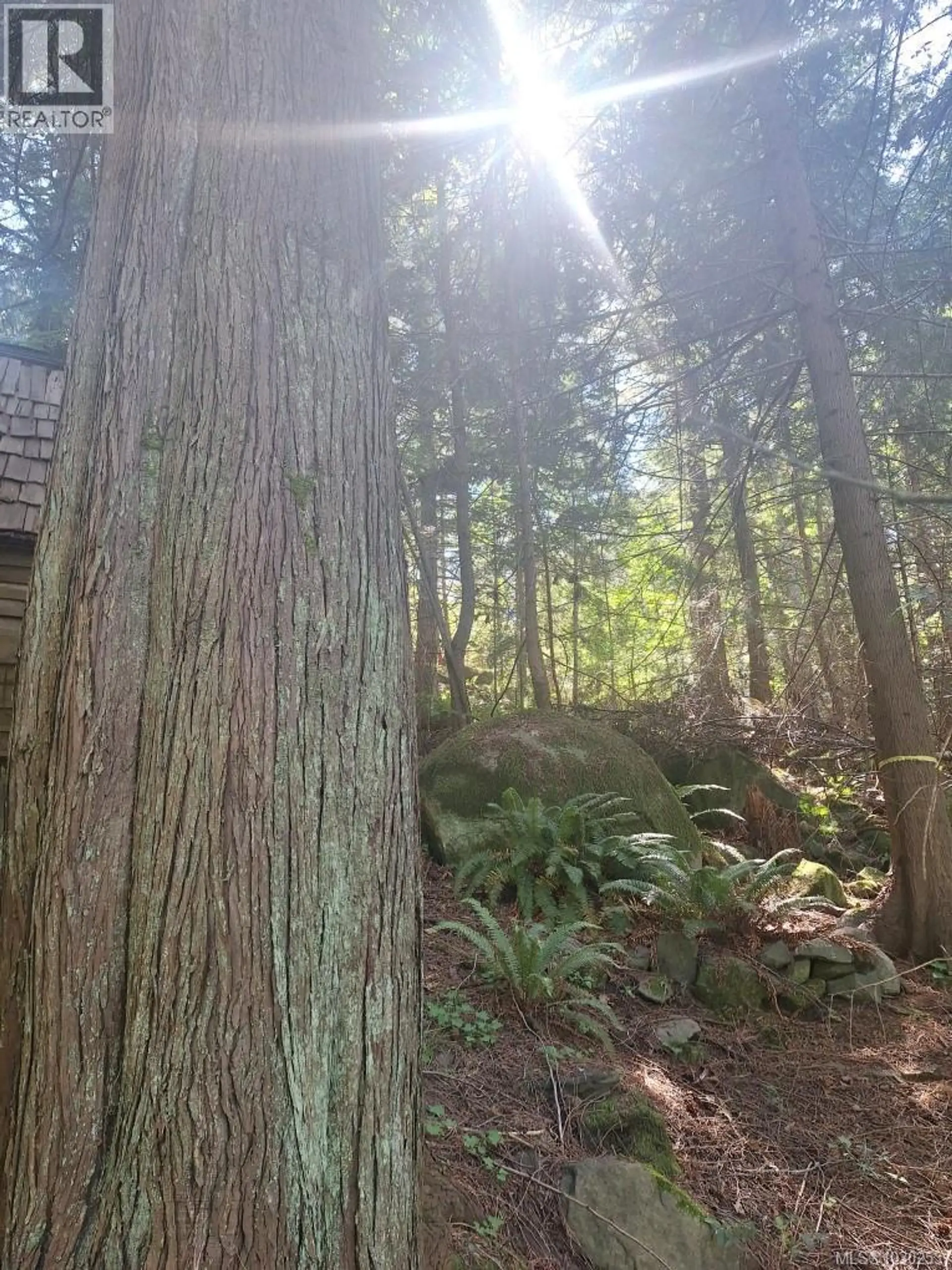 2359 Kendall Rd - Image 3